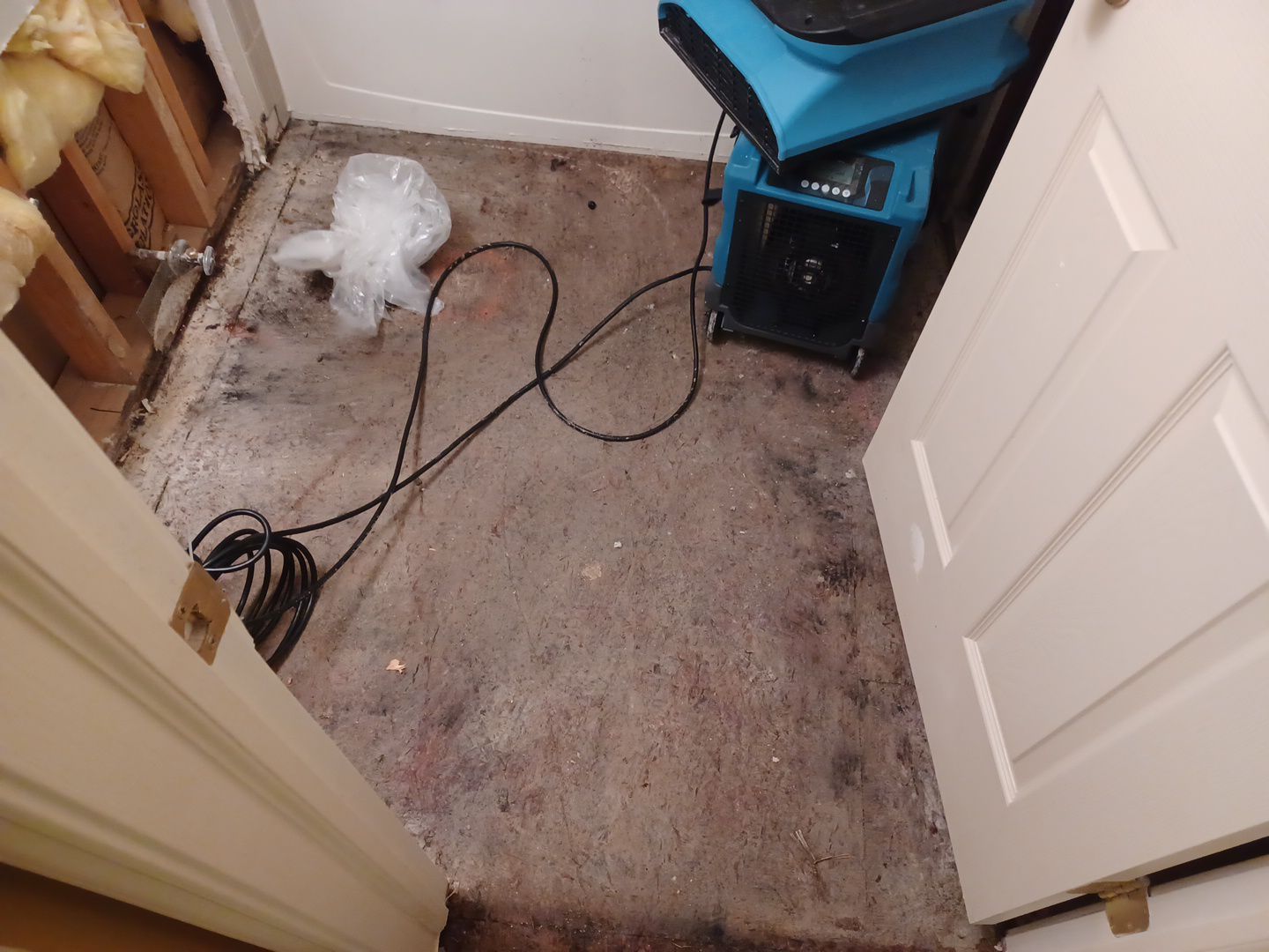 Project in Commerce Charter Twp by EzDry Water Mitigation & Property Restoration