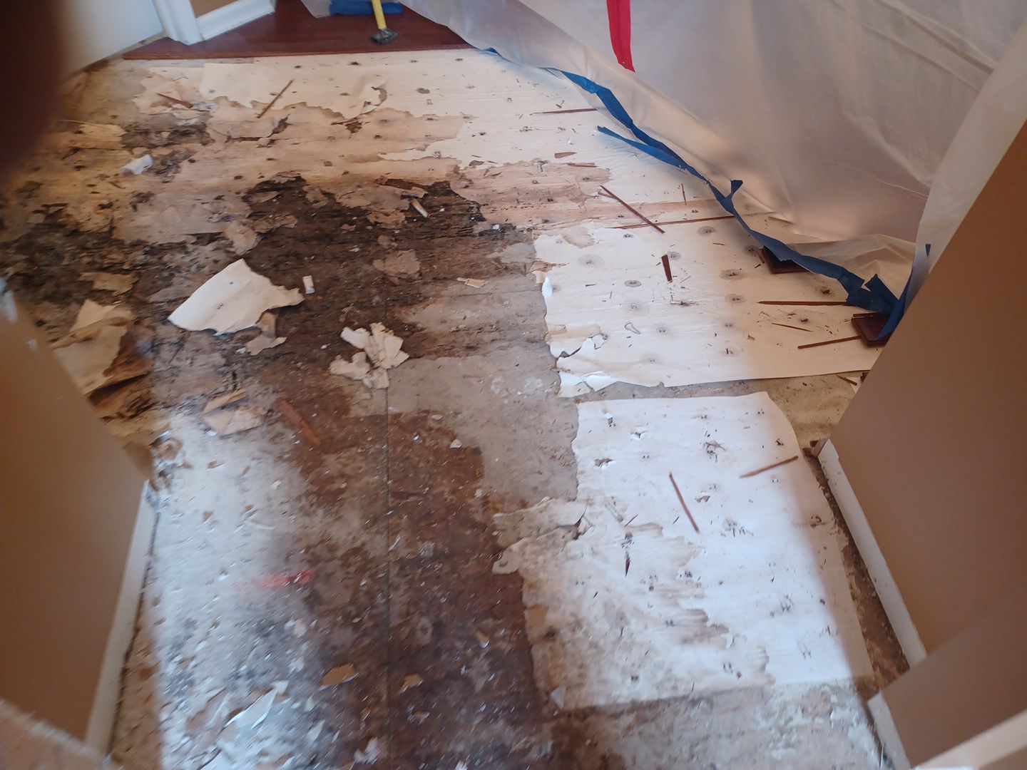 Project in Sterling Heights by EzDry Water Mitigation & Property Restoration