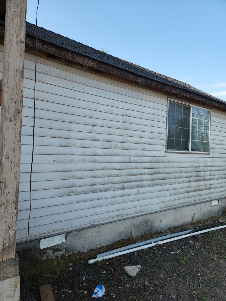 Black Mold Removal using Biocide by Willamette Outdoor Wash LLC