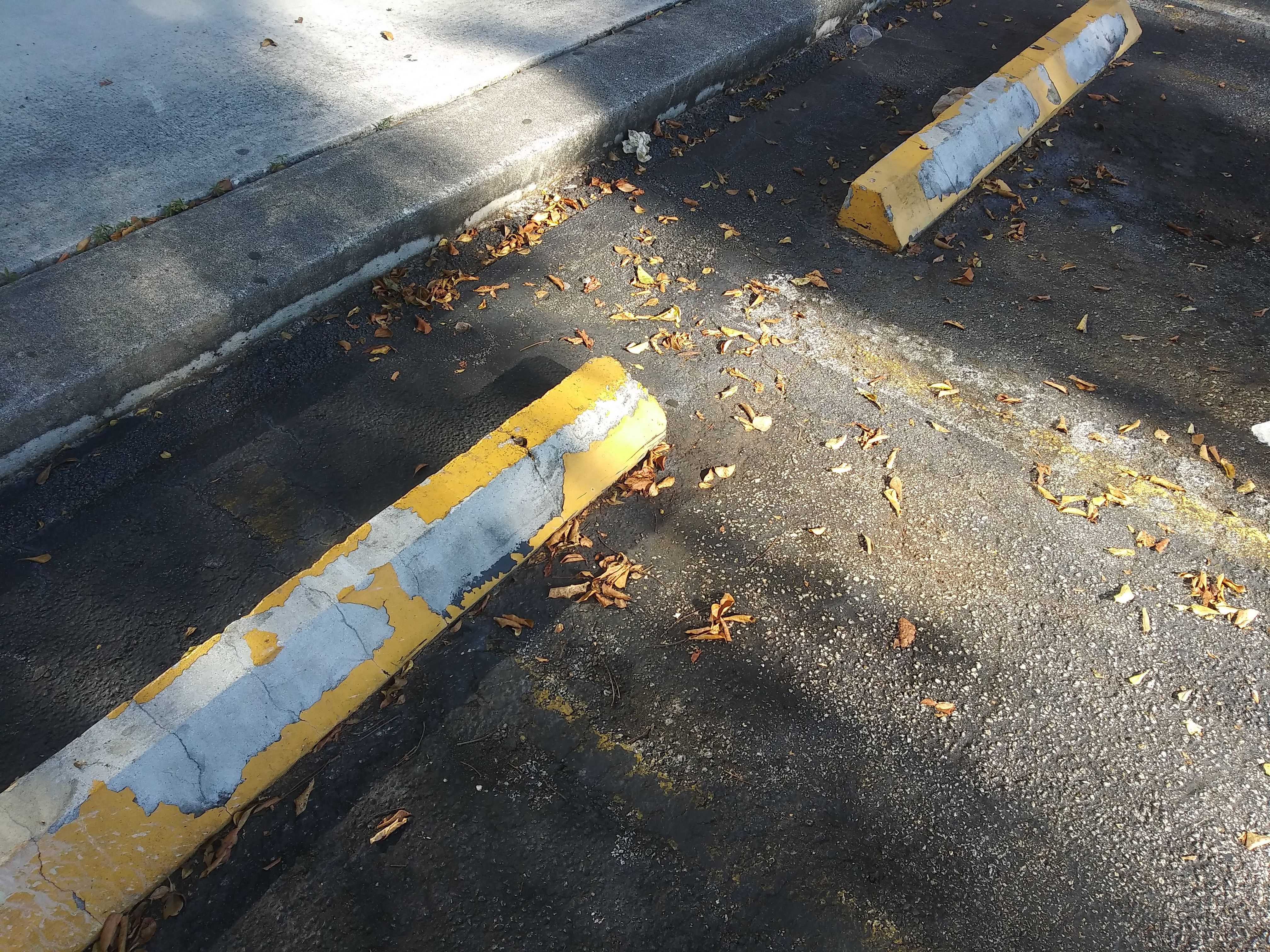 Parking Lot Painting by
M.A.B. Landscaping & Property Maintenance