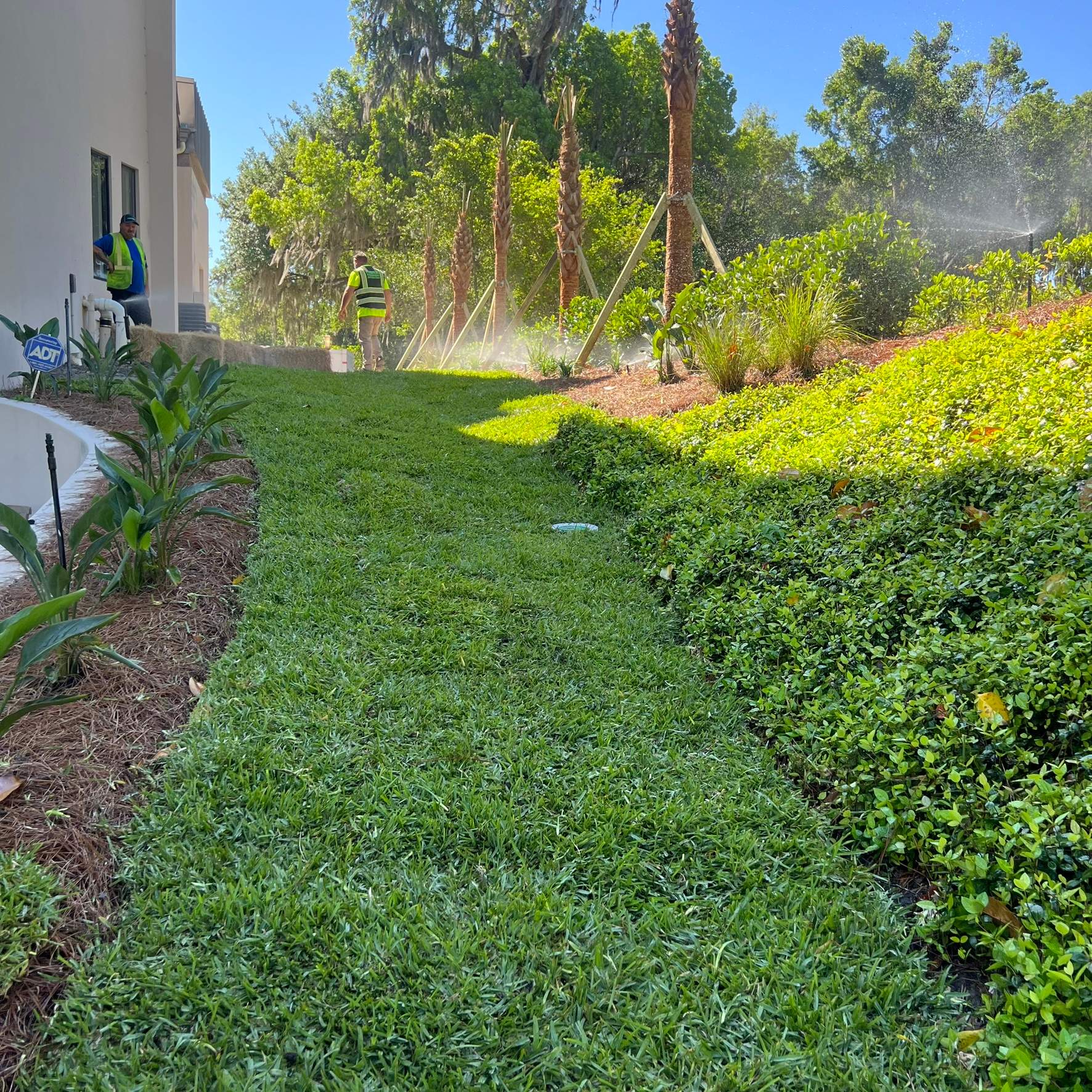 Landscape Install | Residence by ProGreen Services