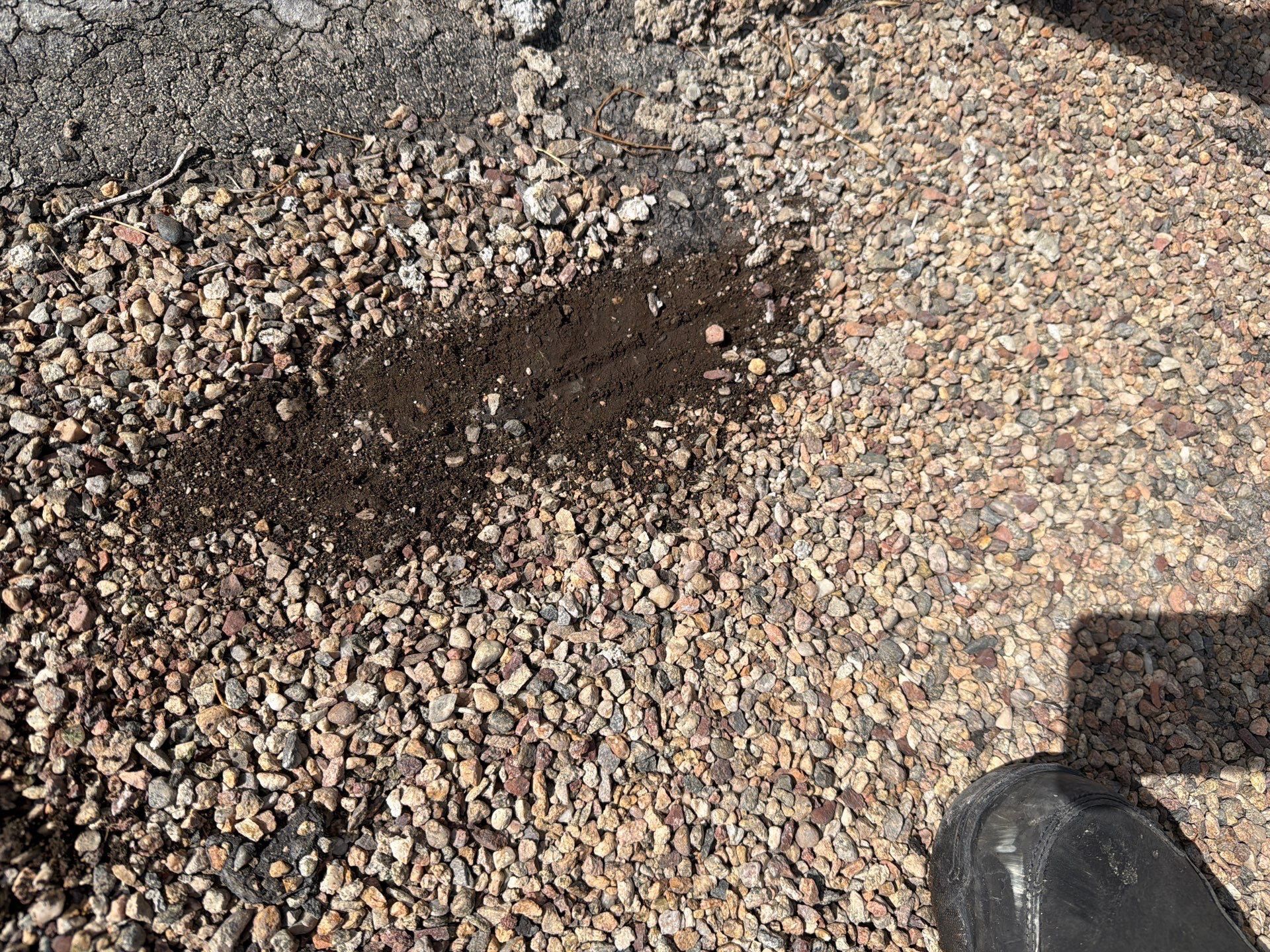 Complete Roof Coating System by Blue Peaks Roofing LLC