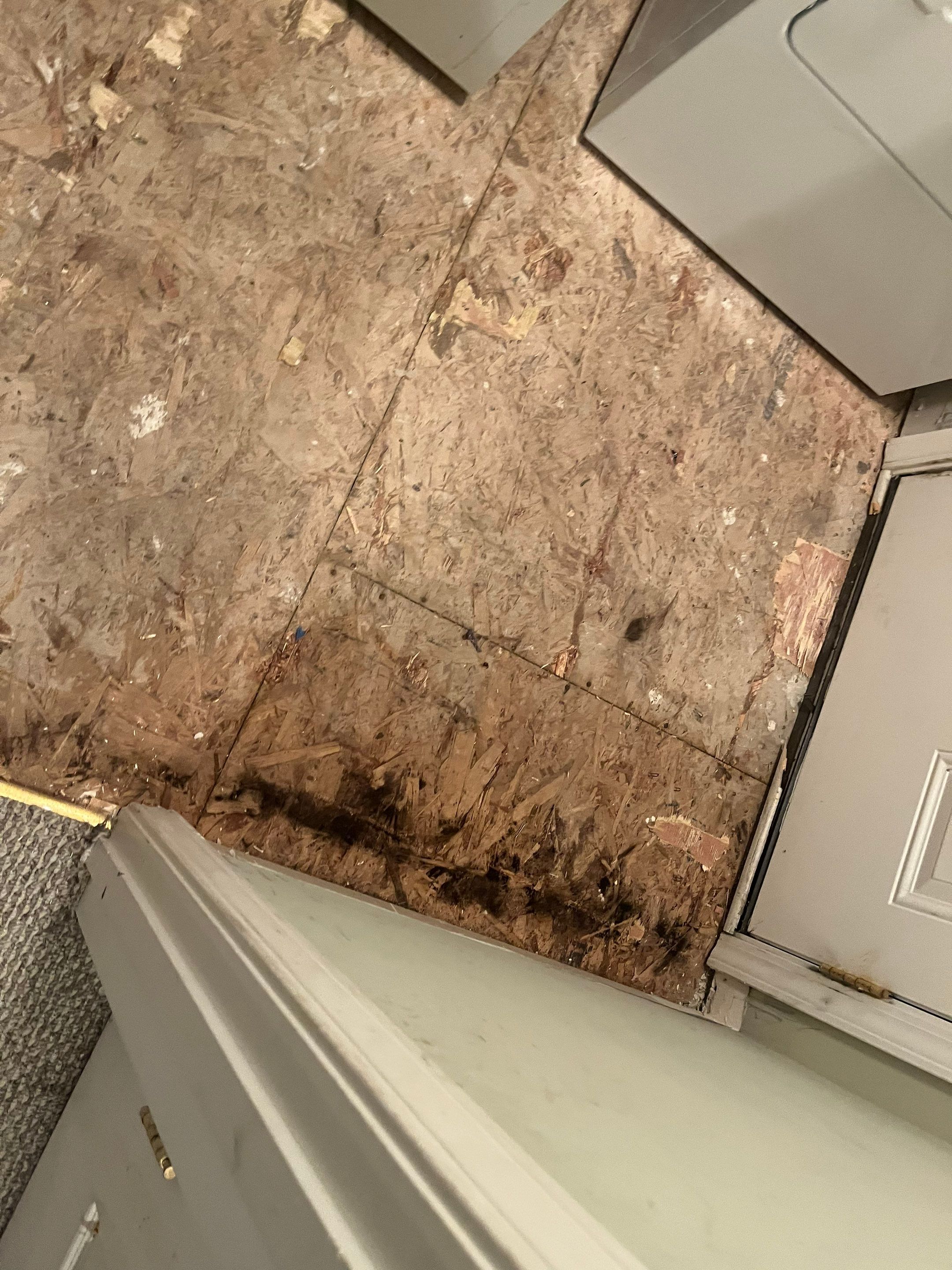 Mitigation and Repairs in Eminence, KY by ANR Restoration