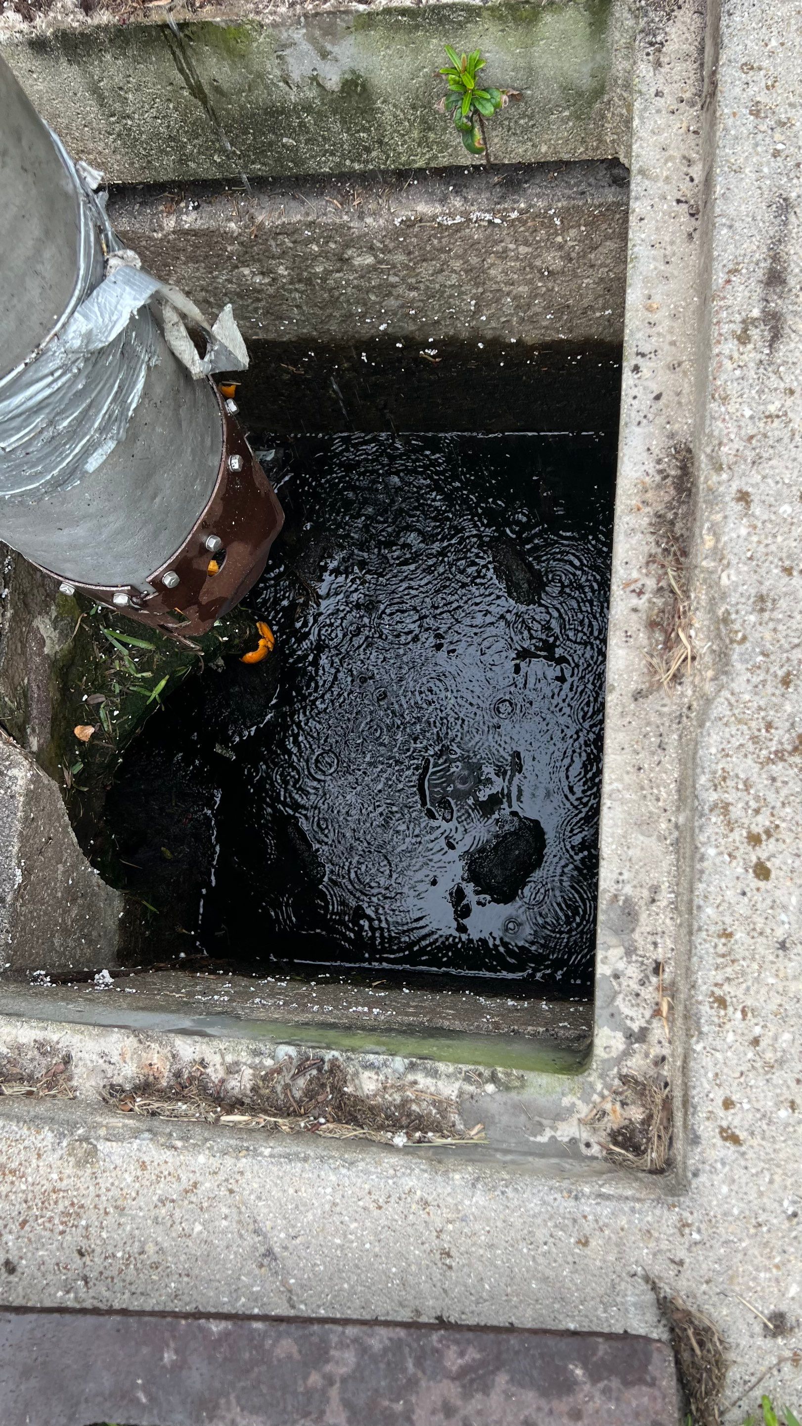 Stromwater System Maintenance at Bill Smith Appliances / Critter Cafe Marco Island Catch Basin by Don Mar, Inc. Storm Water Solutions