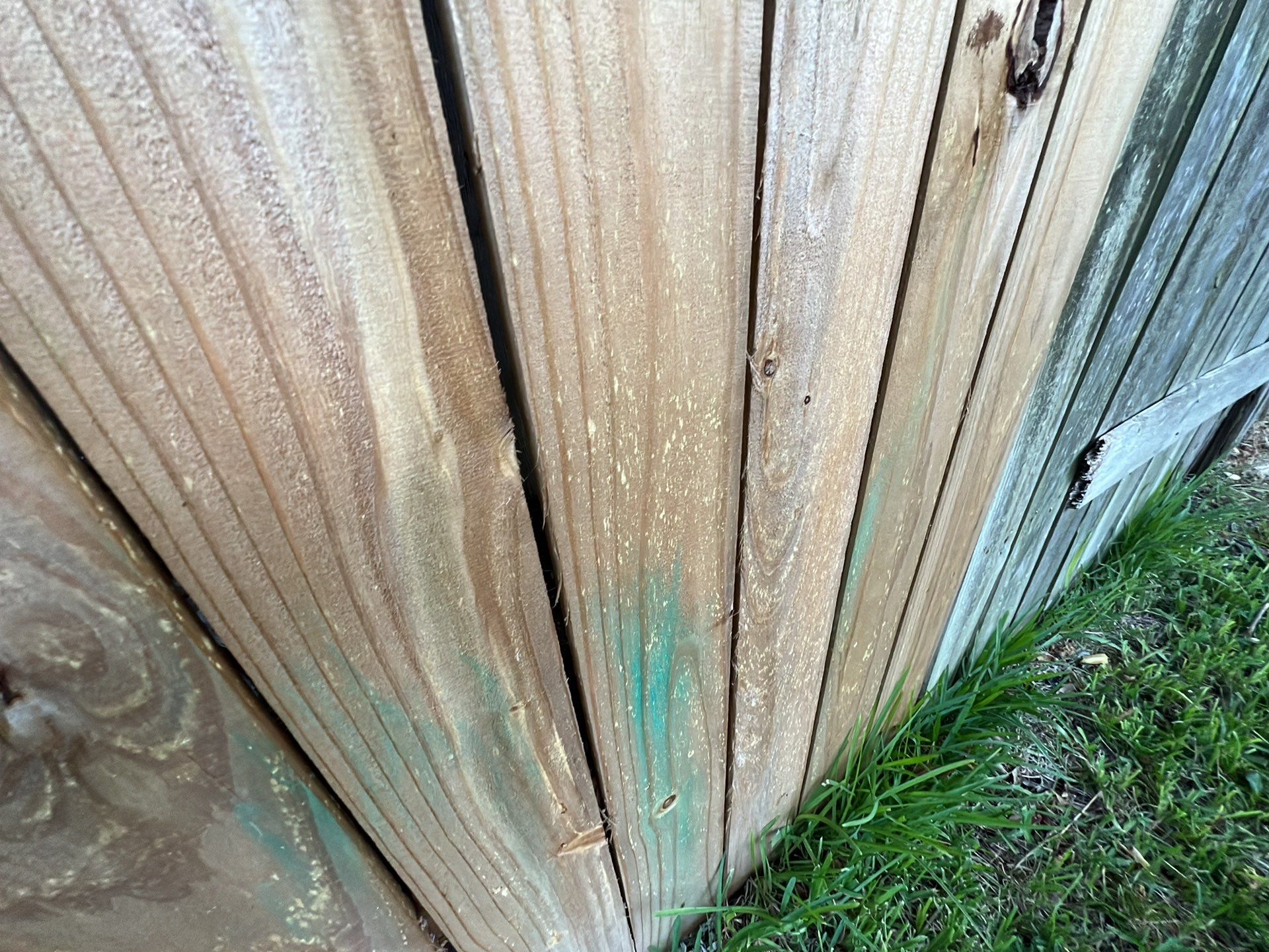 Residential Roof Replacement and Fence Restoration in Cedar Park by Caliber Restoration LLC