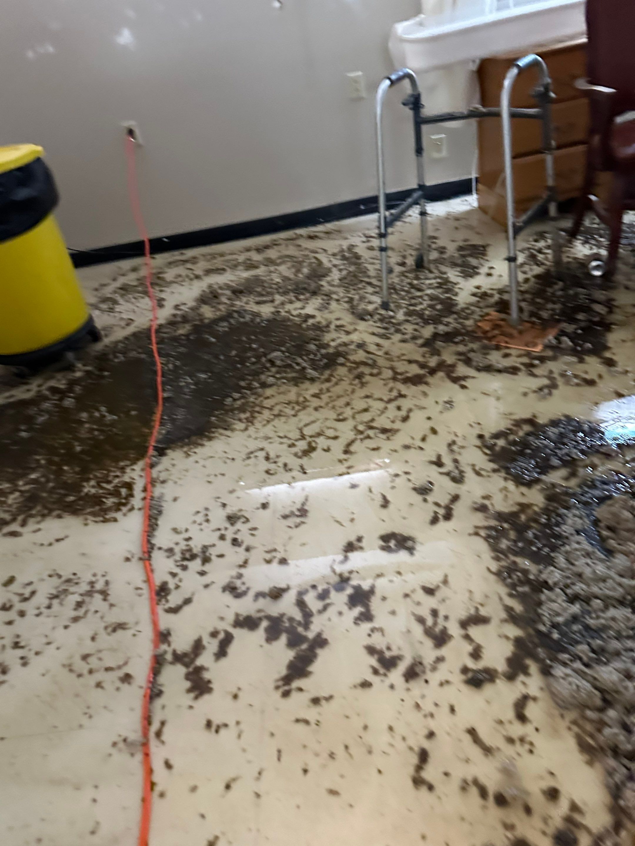 LCCR by BlueRed Restoration