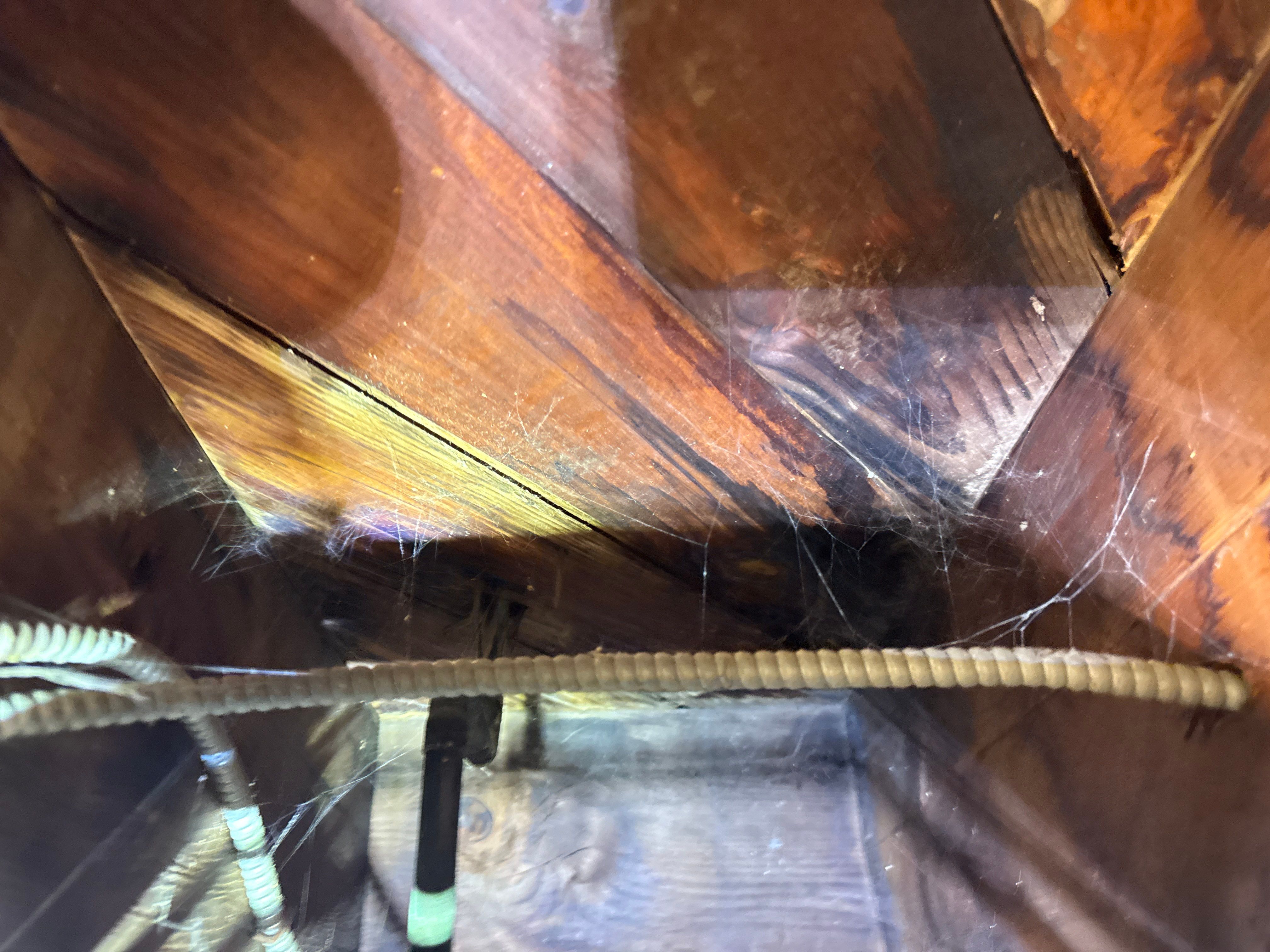Interior French Drain & Mold Remediation Little Falls NJ by Pure Service Pro, LLC 