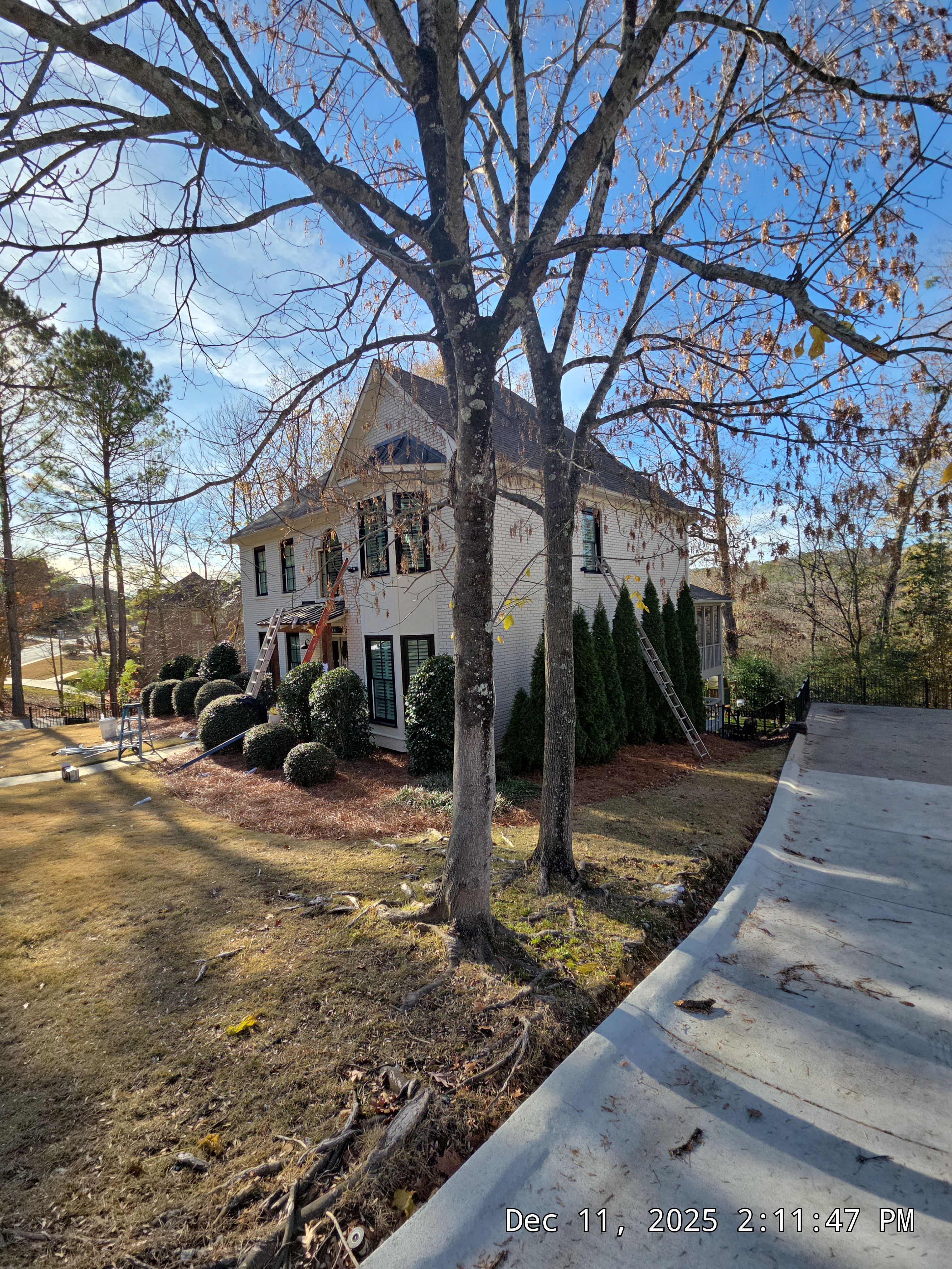 Johnson Project in Homewood by The Window Source