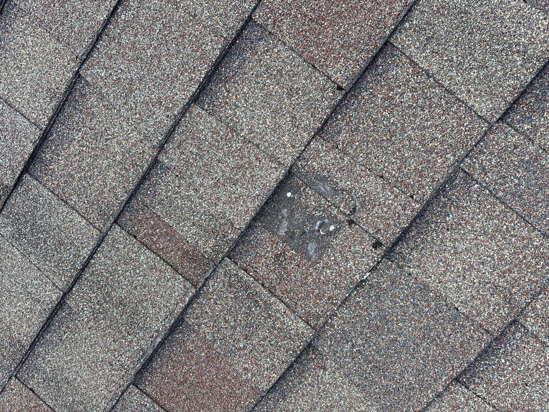 Hail Damage using Owen's Corning Duration (Lifetime) Shingles by Roof Repair Company