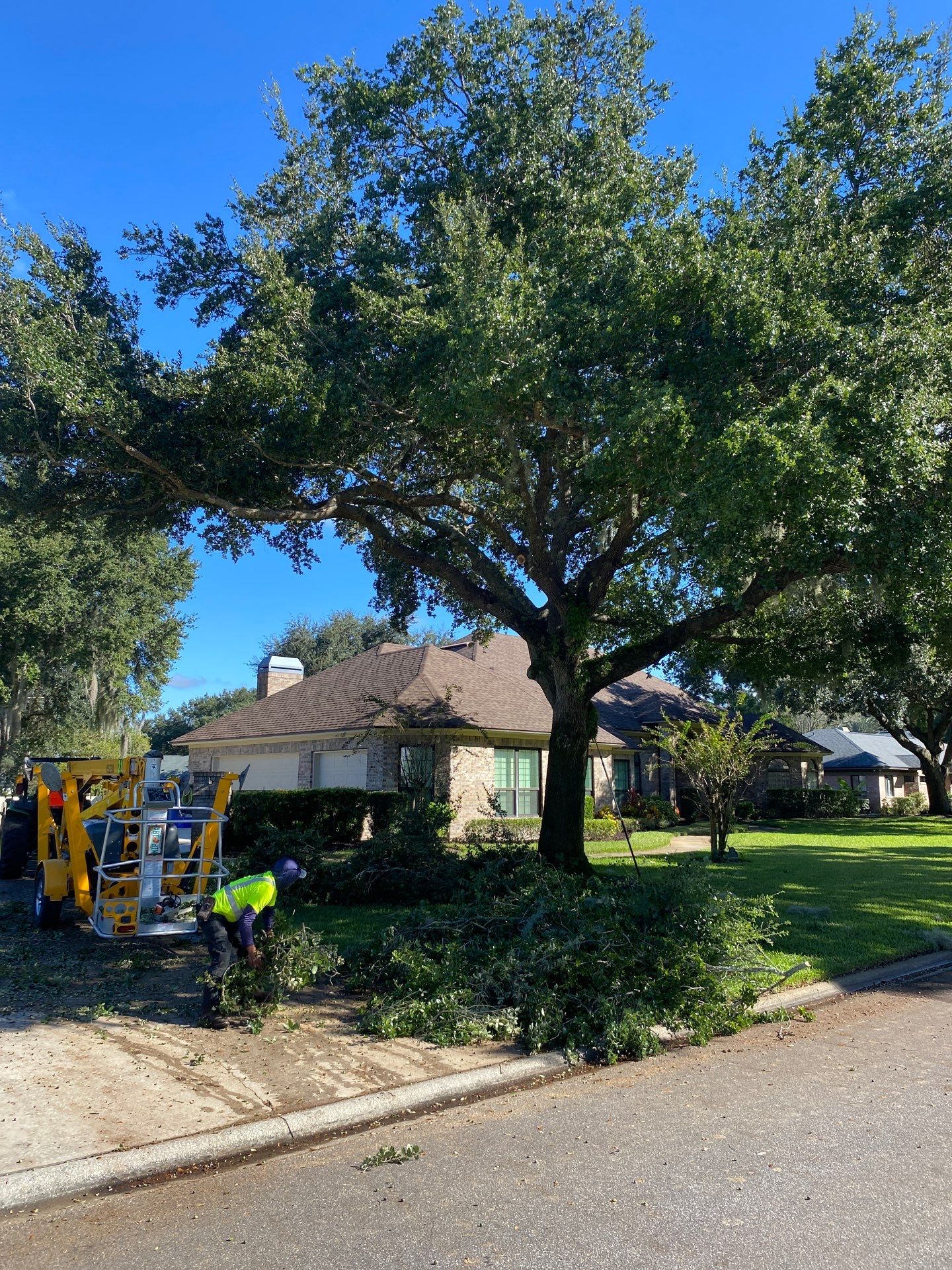 Deerwood | Tree Trimming & Sod Install | Residential by ProGreen Services