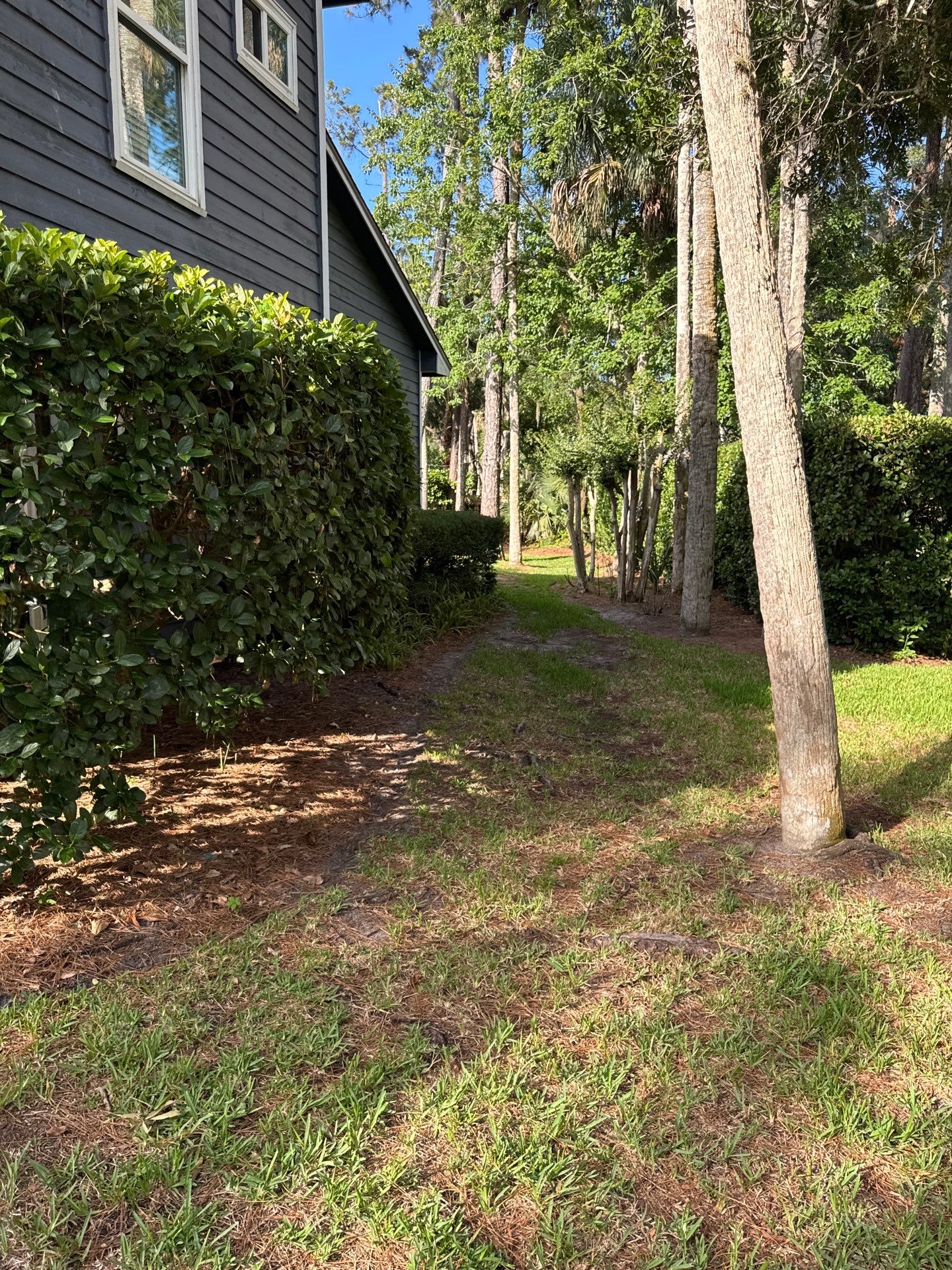 Residential | Pine Straw Install by ProGreen Services