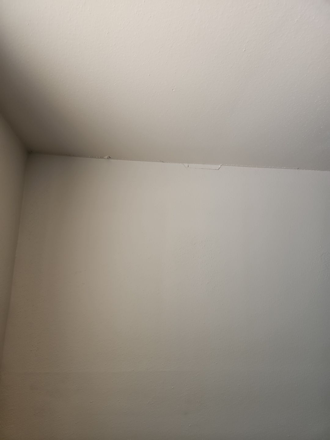 Investor Rental Make-Ready 1 by JTX Pro Services LLC