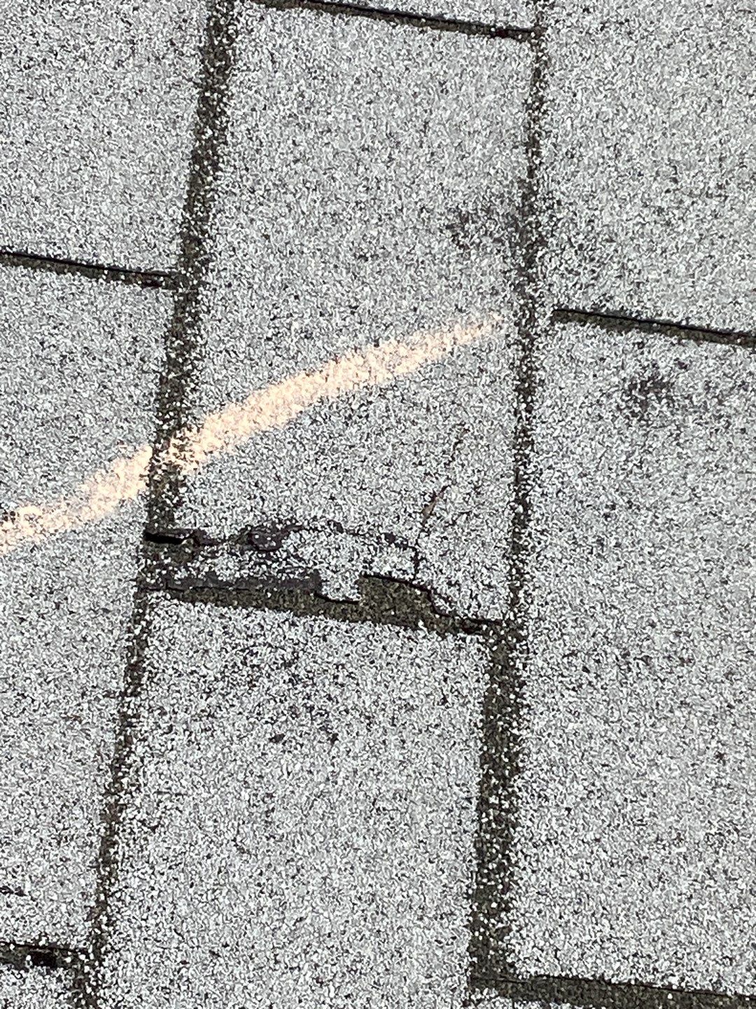 Scherie's Full Re-Roof (Energy Star)  by All Storm Roofing & Construction