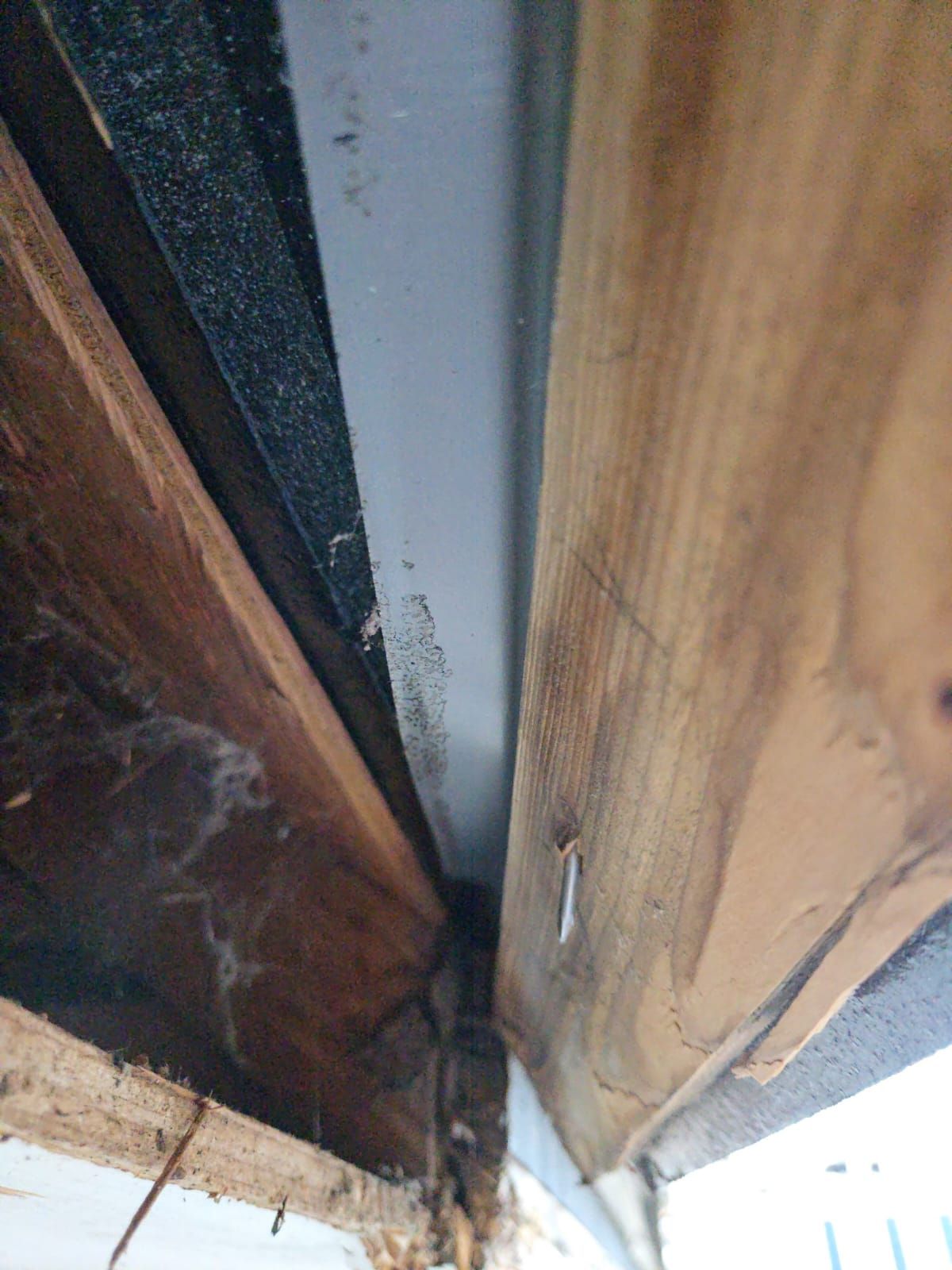 Burke: Multi-Trade Exterior Renovation by RM Banning, Inc.