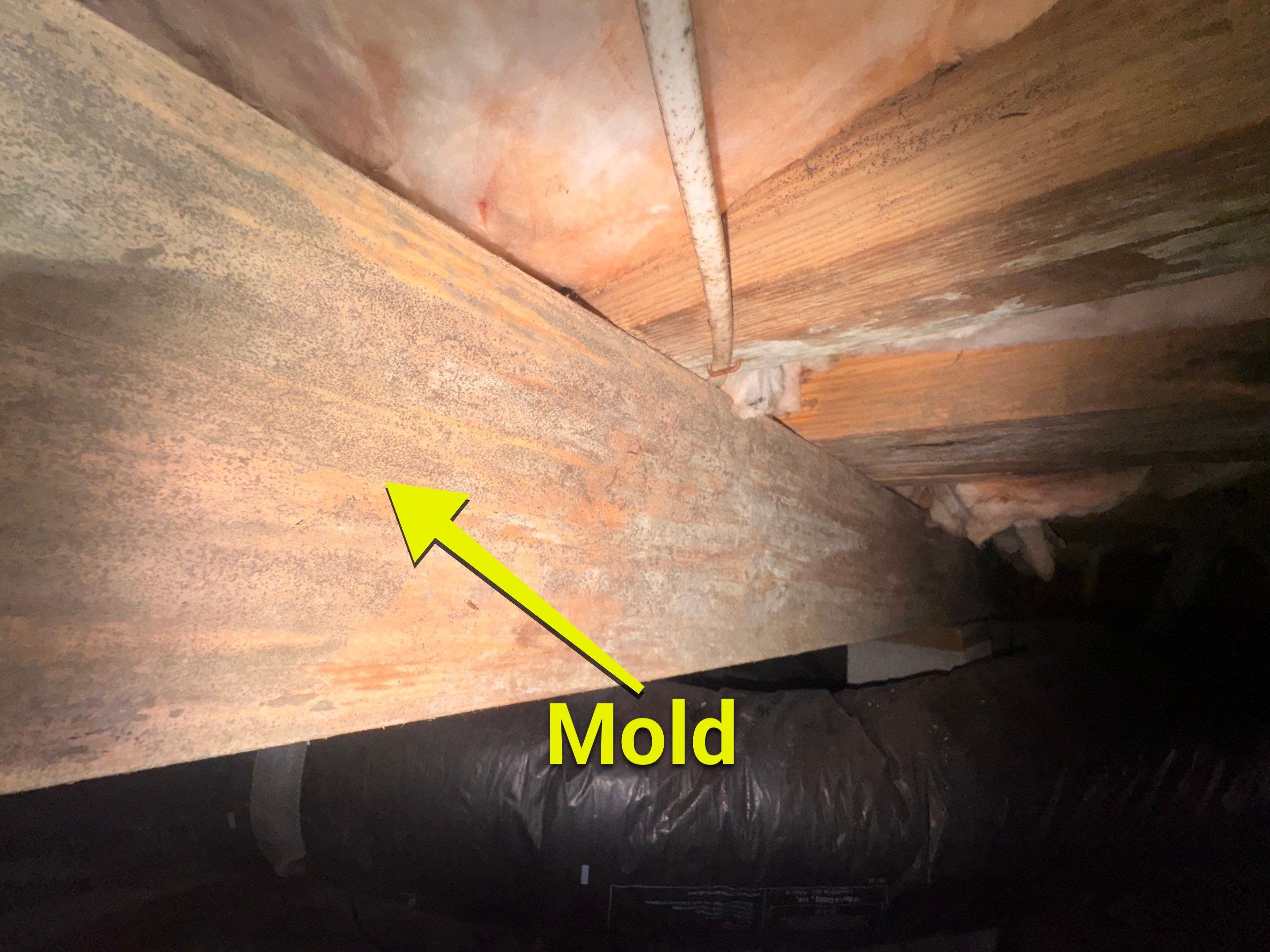 Moisture Barrier, Mold Clean, Structural Repair, Dehumidifier, R19 Insulation. by Impact Crawlspace