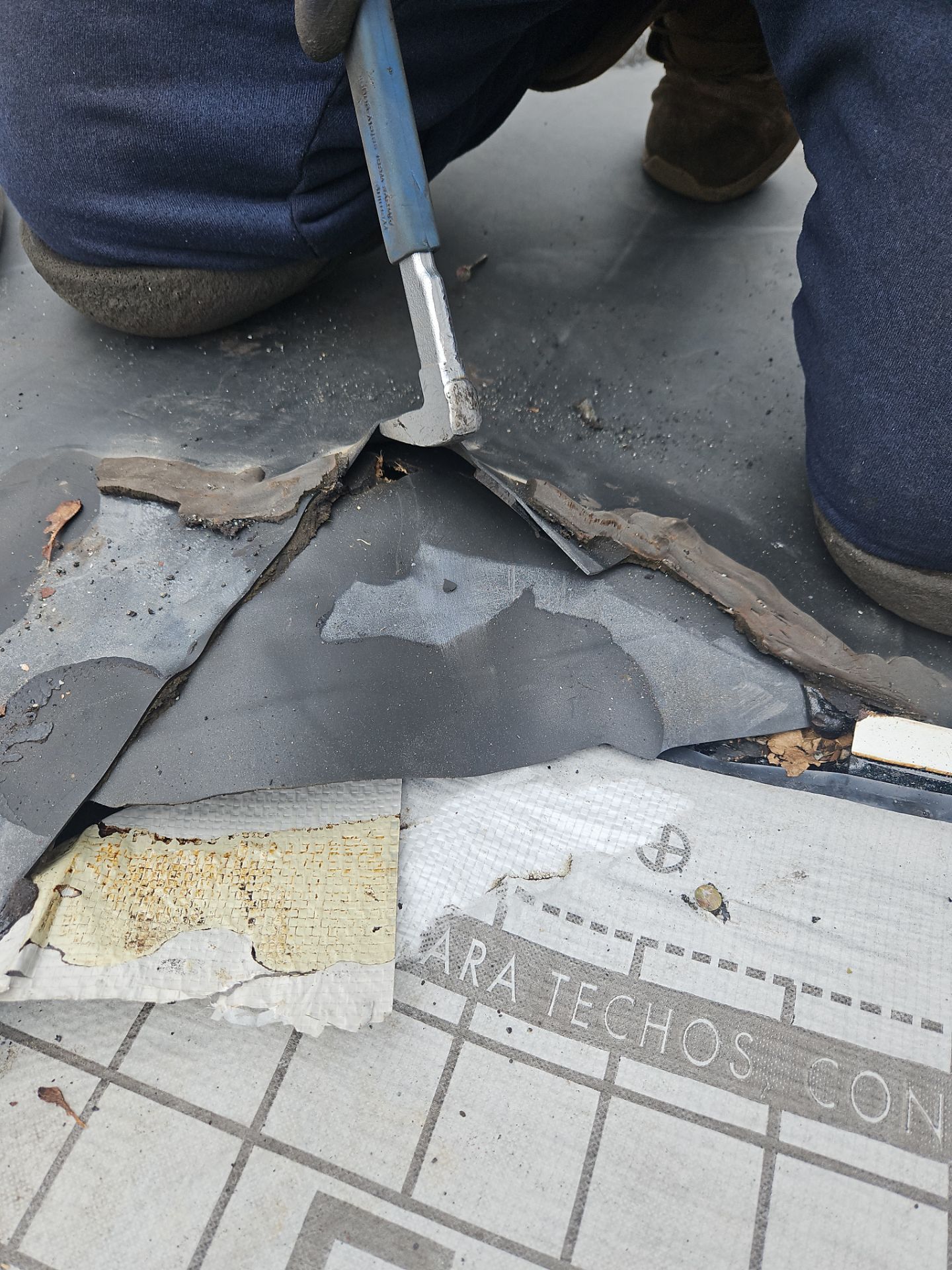 Roofing | Haverhill by Mighty Dog Roofing of Greater Middlesex County