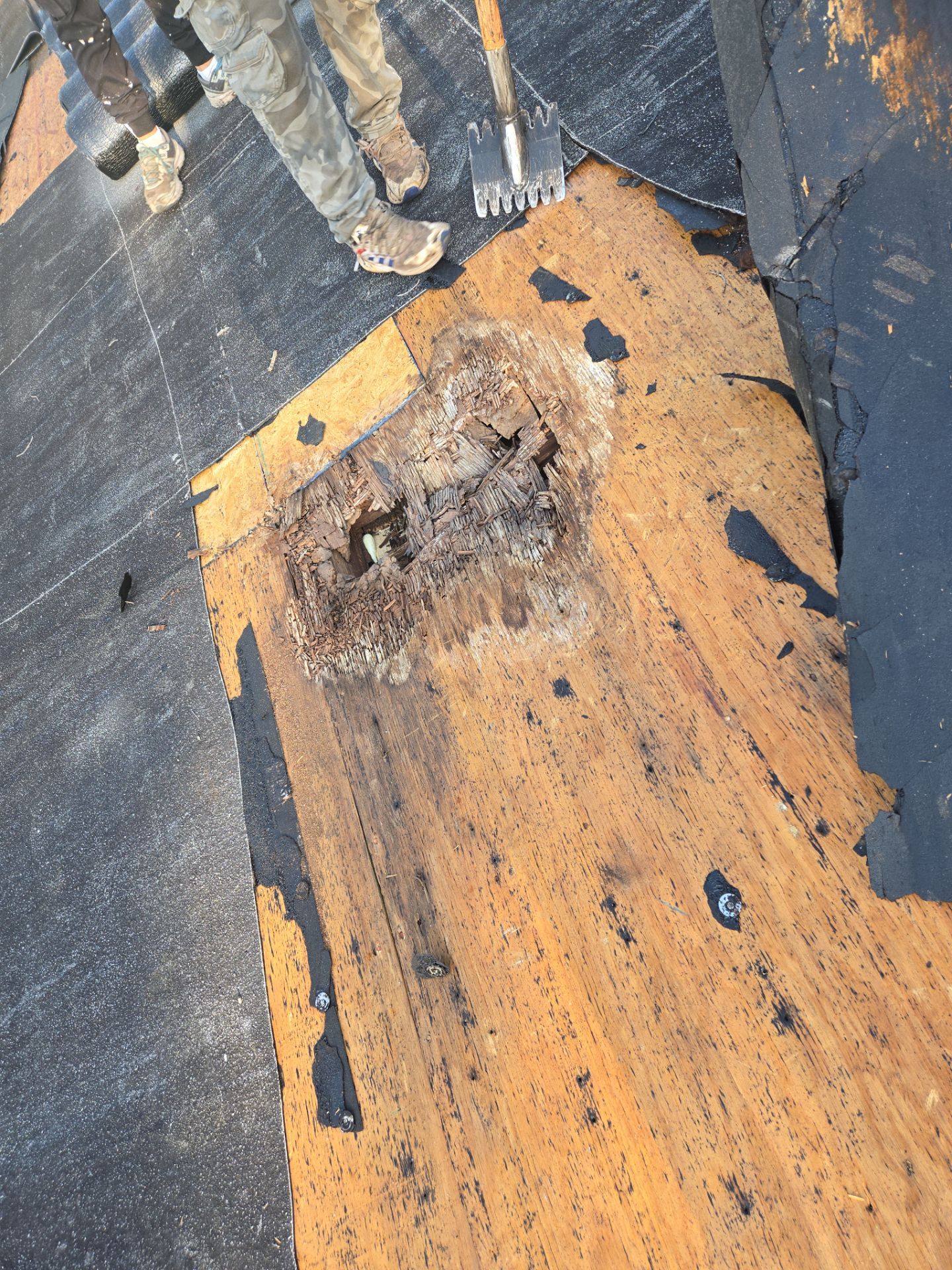 Project in St. Petersburg 33705 by Mitchell Roofing Company LLC 