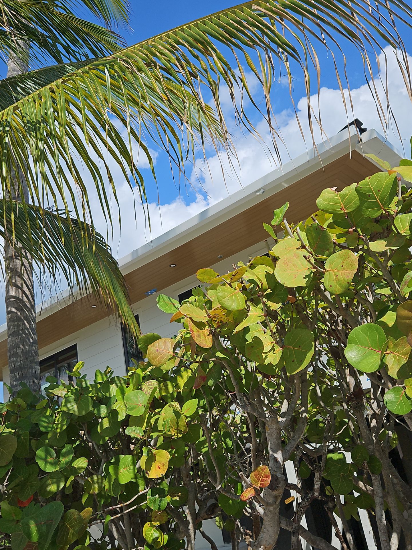 7-Inch Smooth Box Seamless Gutters using Seamless Gutters and Metal Fascia in Sanibel FL by Gutter Professors