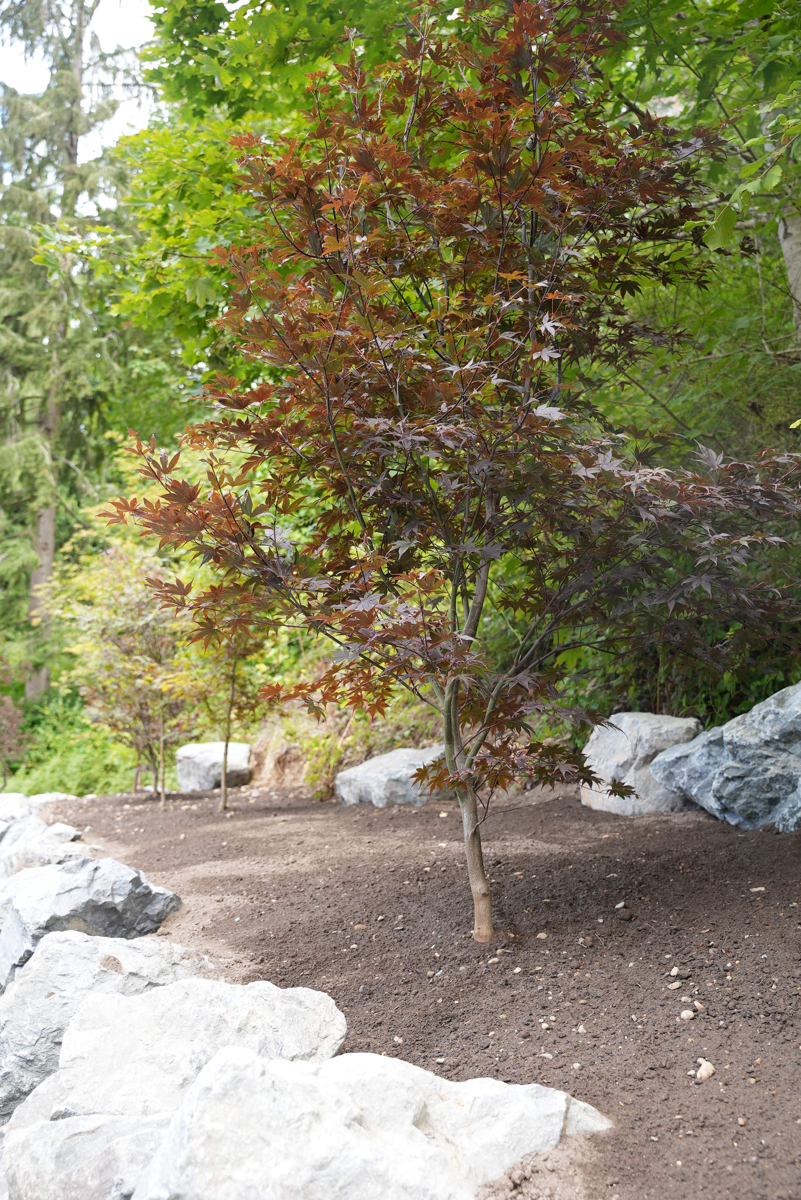 Jim | Rockery Wall, Landscaping, Road Repair & Sealcoating by Jireh Asphalt & Concrete Inc 