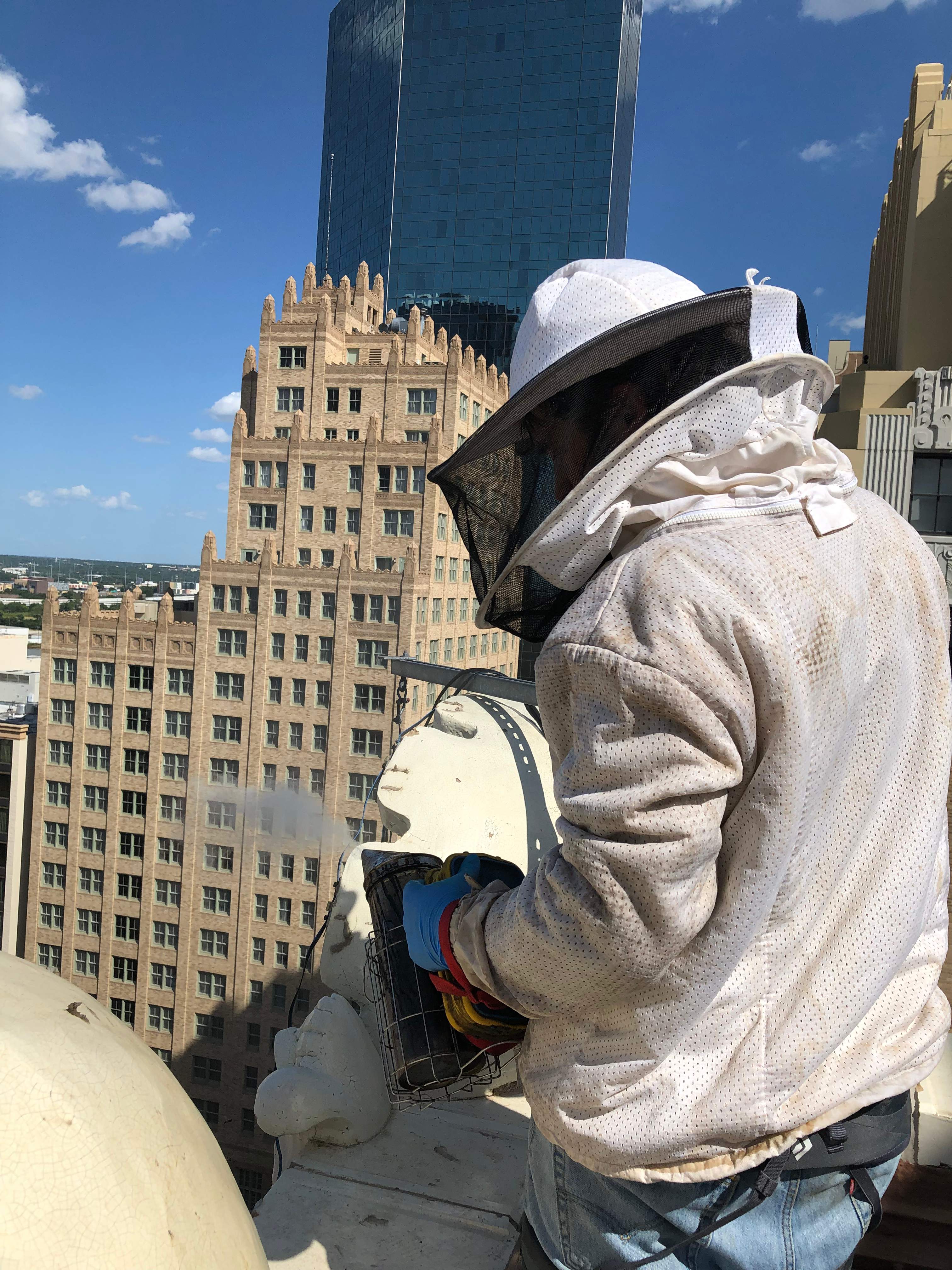 Downtown Highrise by Rockwall Honey Bee Company