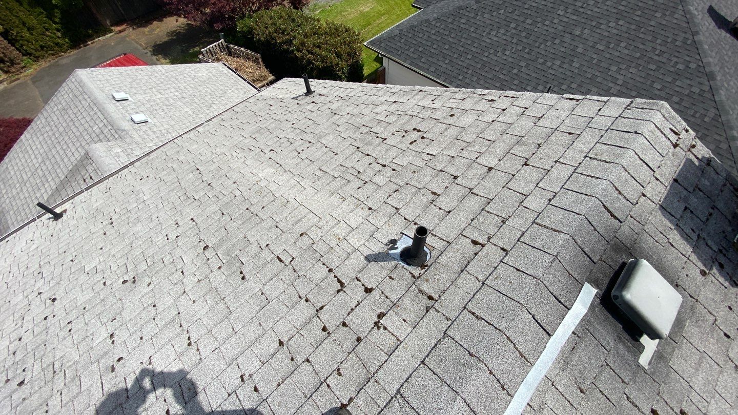 Estate Gray Shingles by Reimagine Roofing