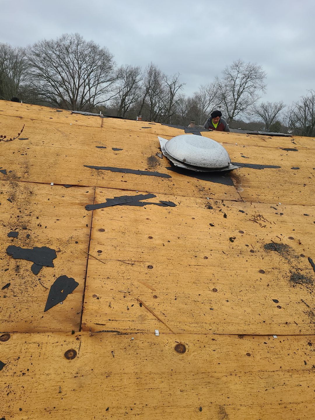 Alexandria Certainteed Landmark Roof in Colonial Slate by RM Banning, Inc.