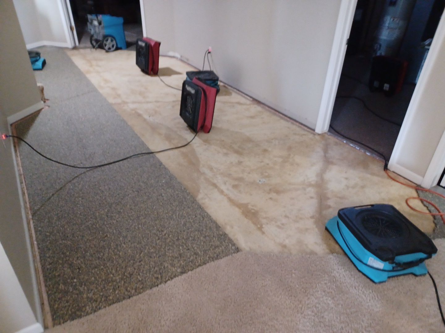 Project in West Bloomfield Township by EzDry Water Mitigation & Property Restoration