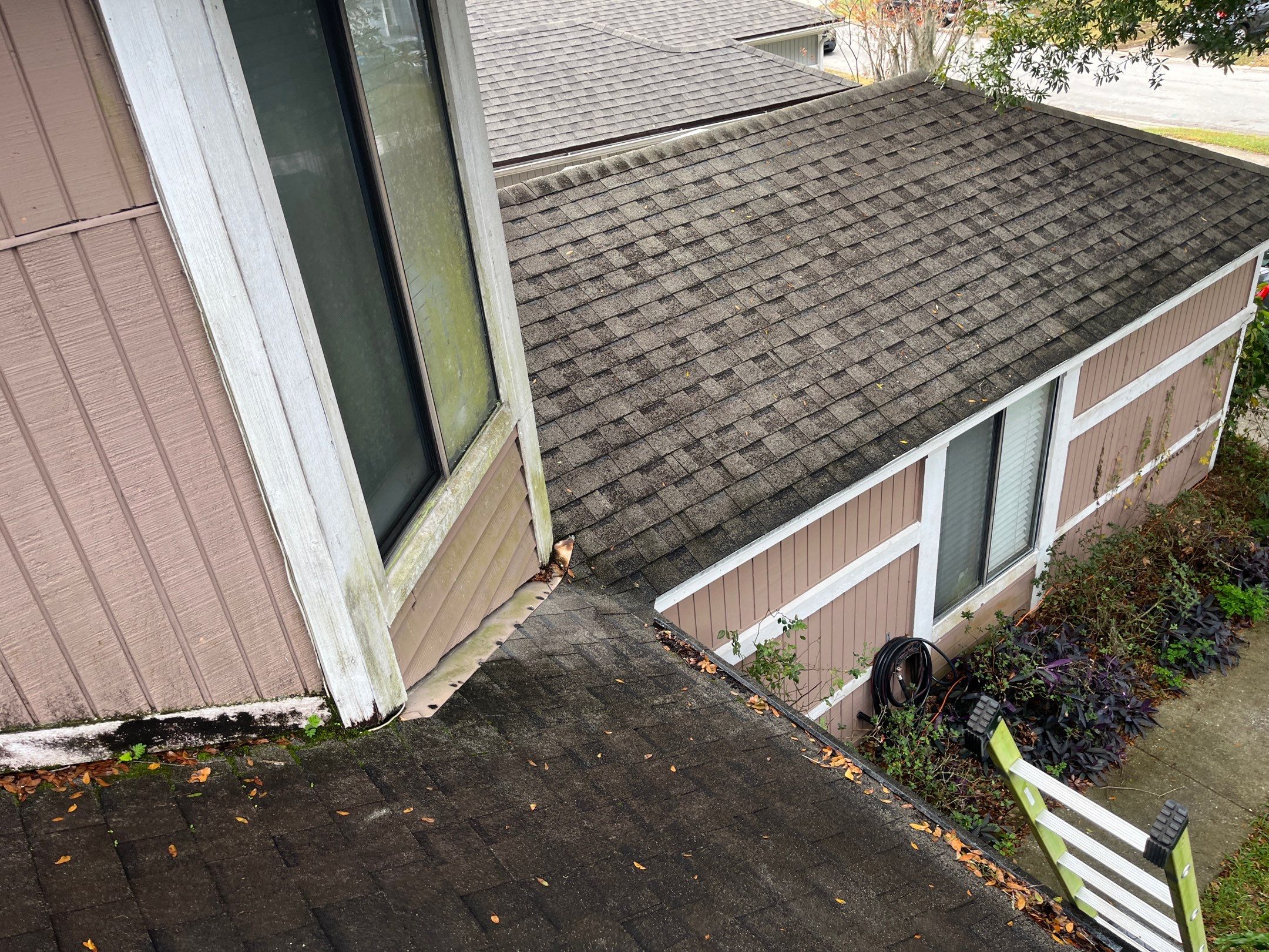 Shingle -> Shingle by Prime Roofing
