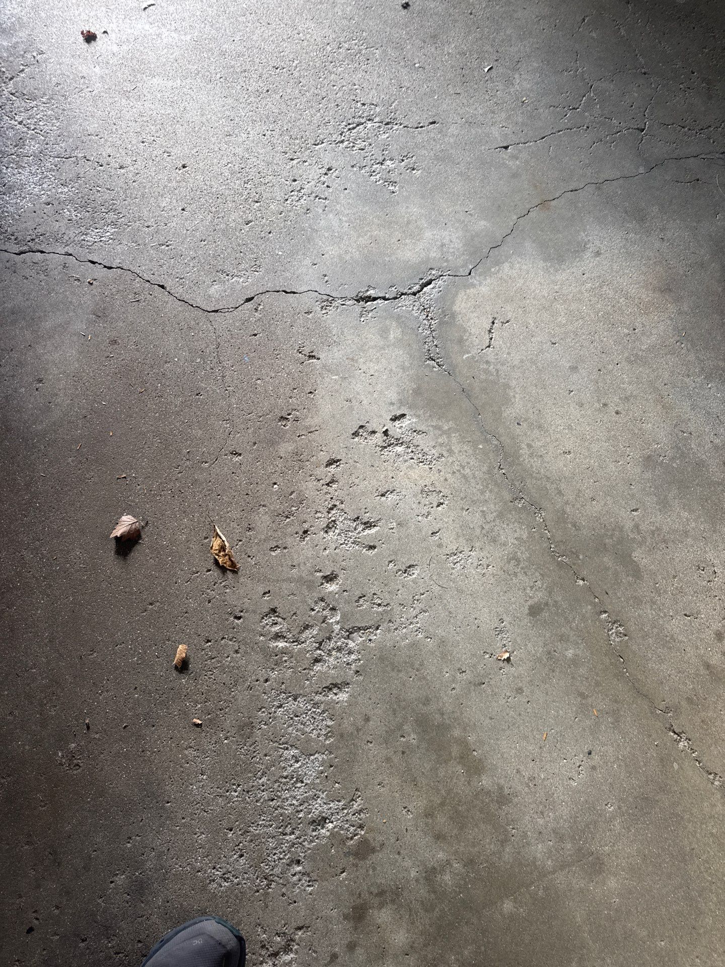 Epoxy Flake Floor installation in Grand Rapids Michigan! by Gordon Painting
