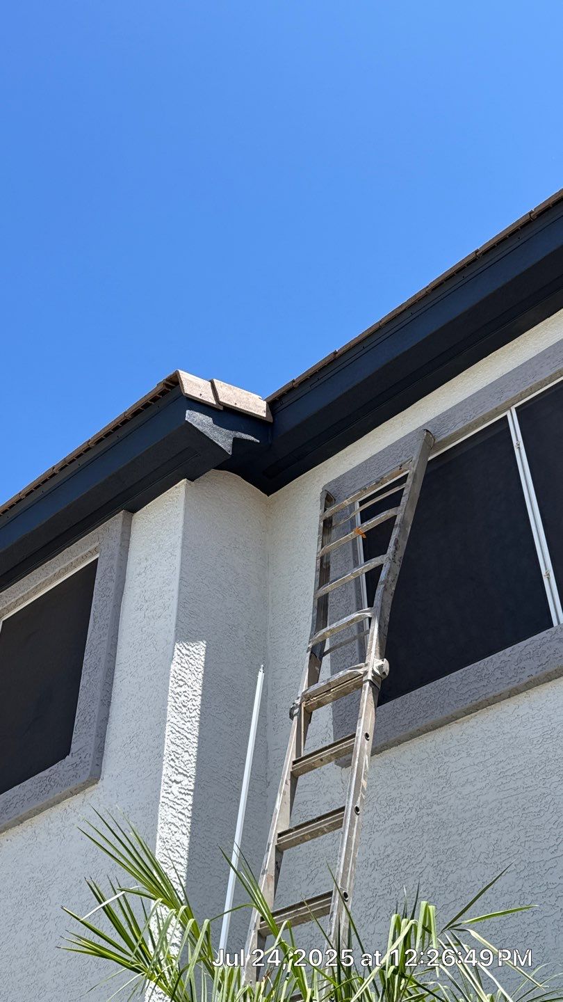 Exterior Painting - Glendale by Crash of Rhinos Painting & Garage Floors