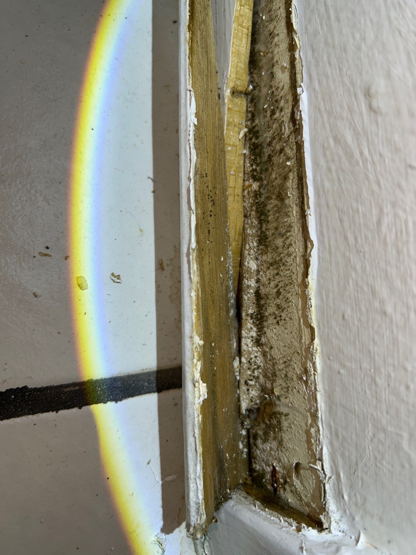 Mold Remediation In Sarasota by Ampm Restoration Services
