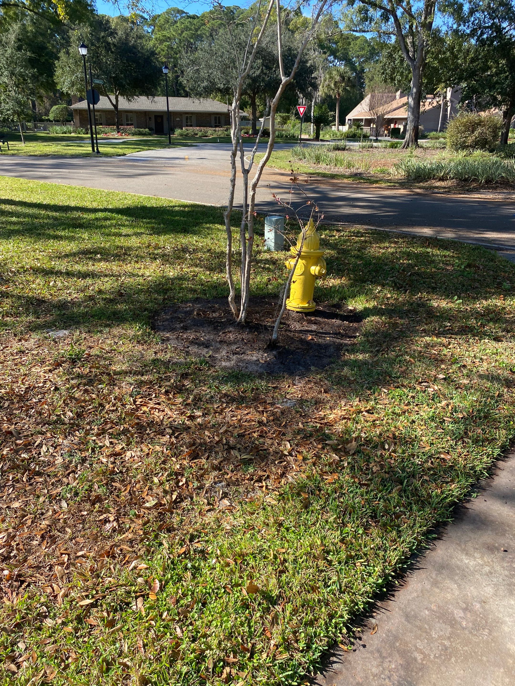 Deerwood Resident | Mulch Freshen Up Project by ProGreen Services