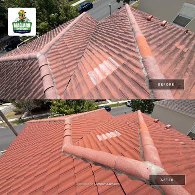 Tile Roof Cleaning in Celebration