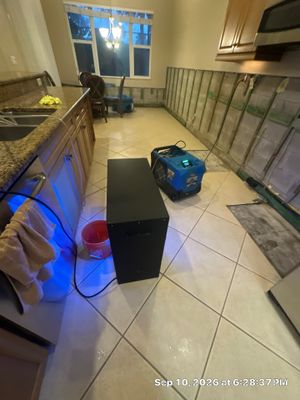 Mold Remediation — Bonita Springs, FL
