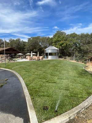Project in Newcastle