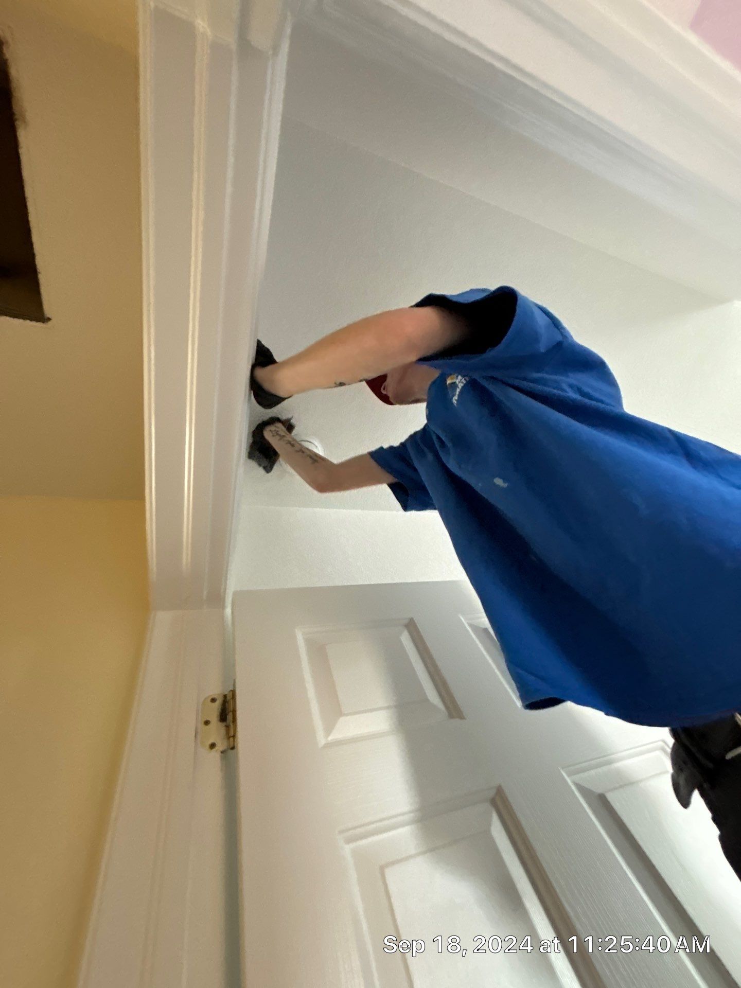 Nokomis Mold Remediation by Ampm Restoration Services