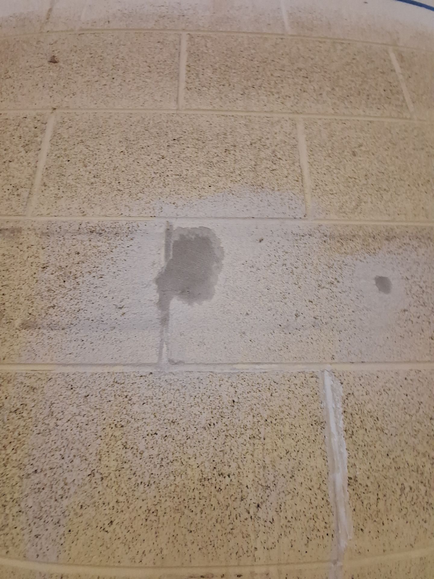 Interior School Painting and Gymnasium Wall Refresh in Muskegon Township! by Gordon Painting