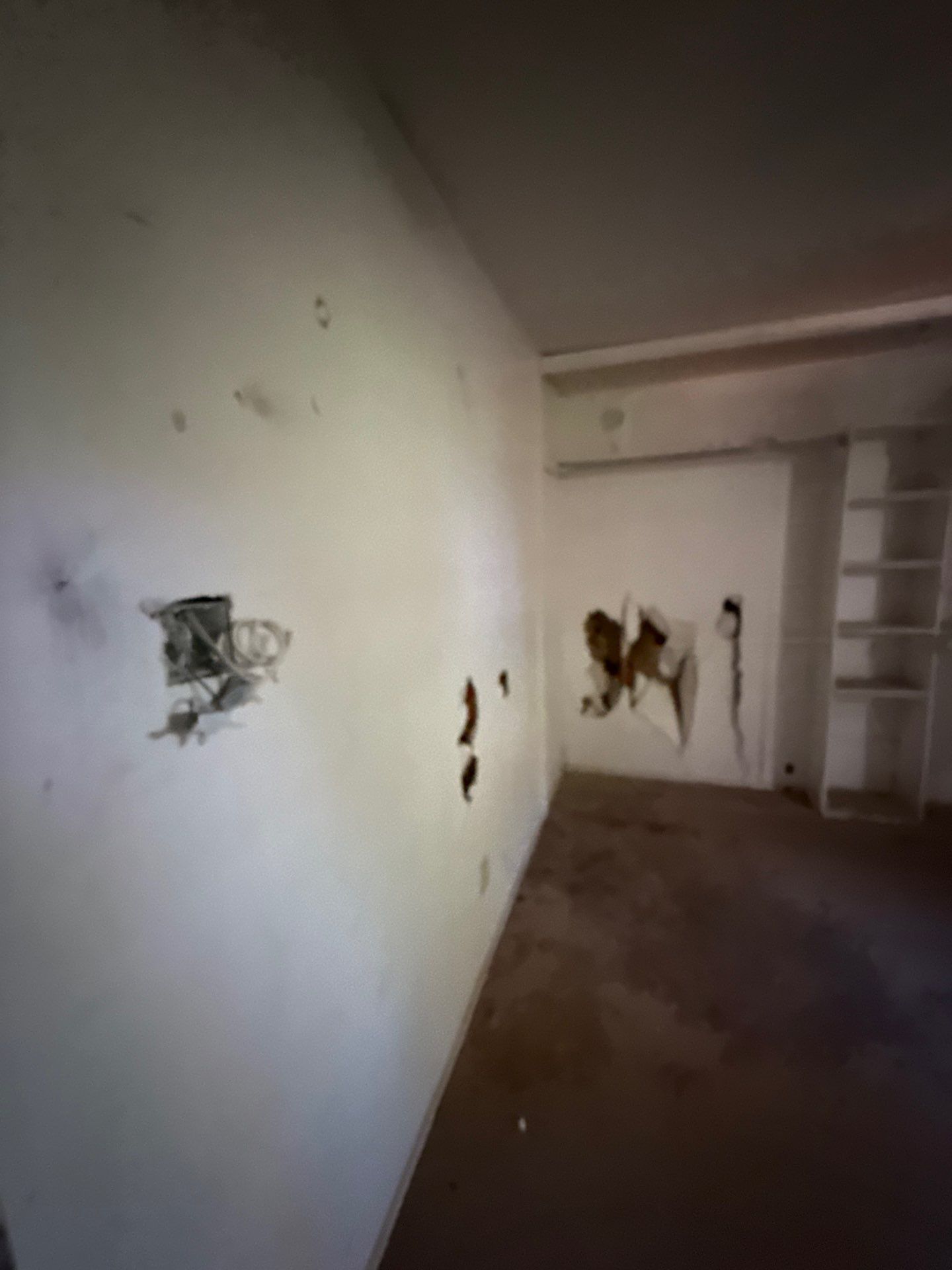 Glen rose by American Builders 