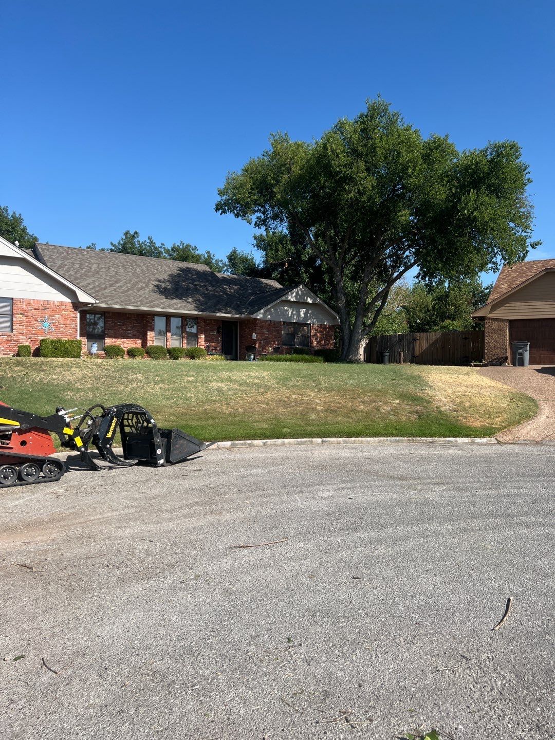 Tree Removals by Clays Services Inc