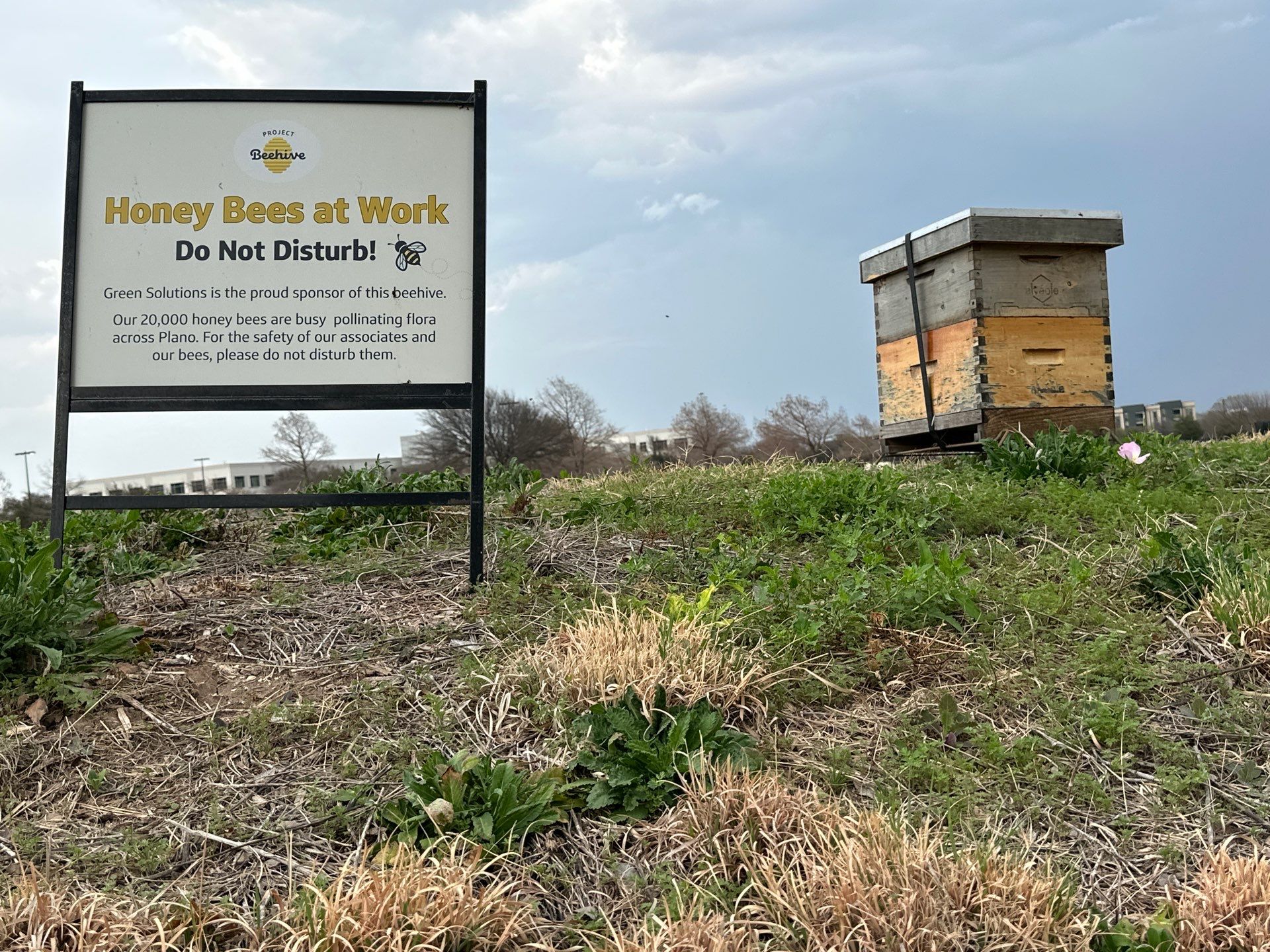 Frisco Financial HQ by Rockwall Honey Bee Company