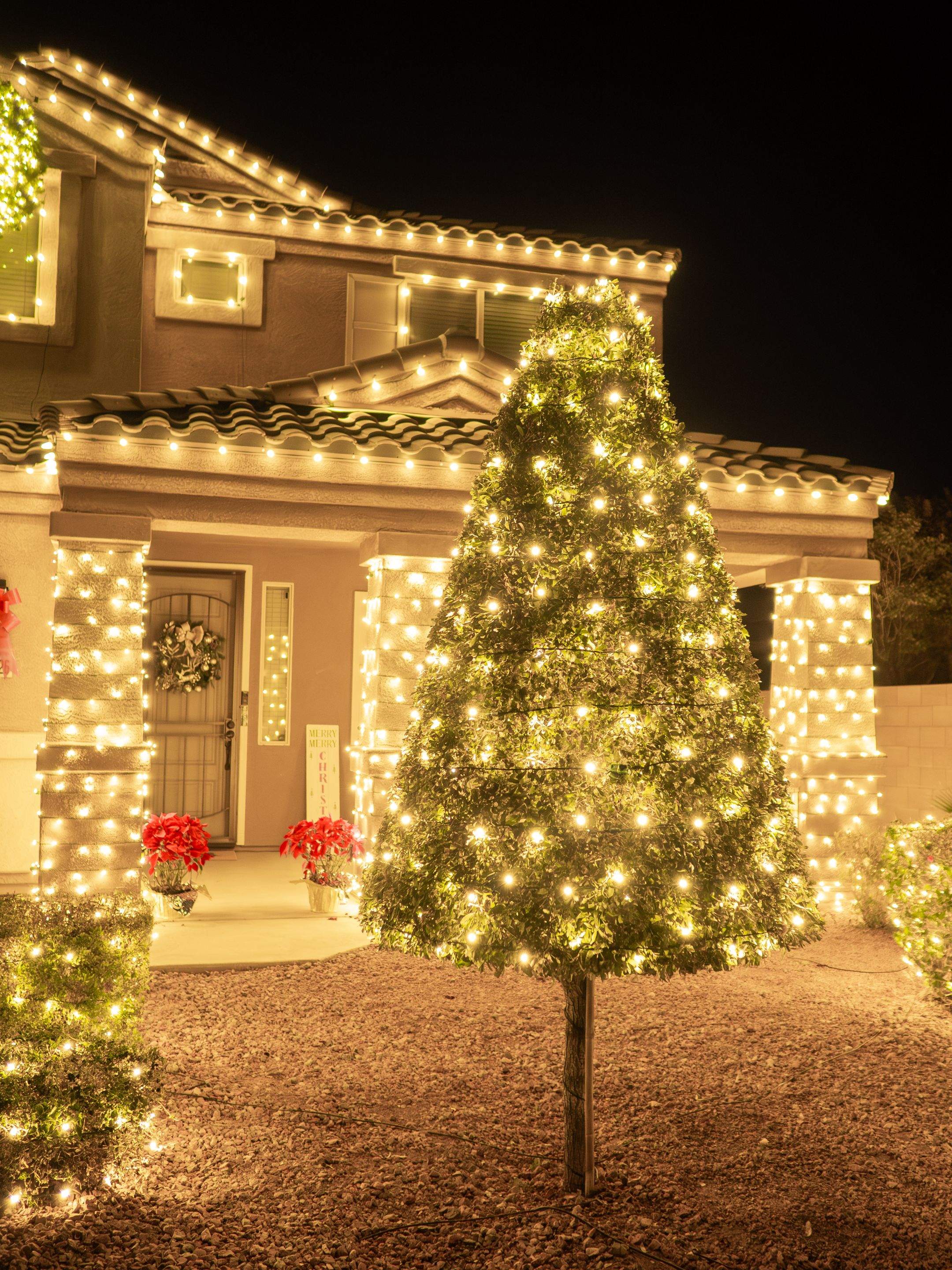 Cactus Christmas Lights featured photo.