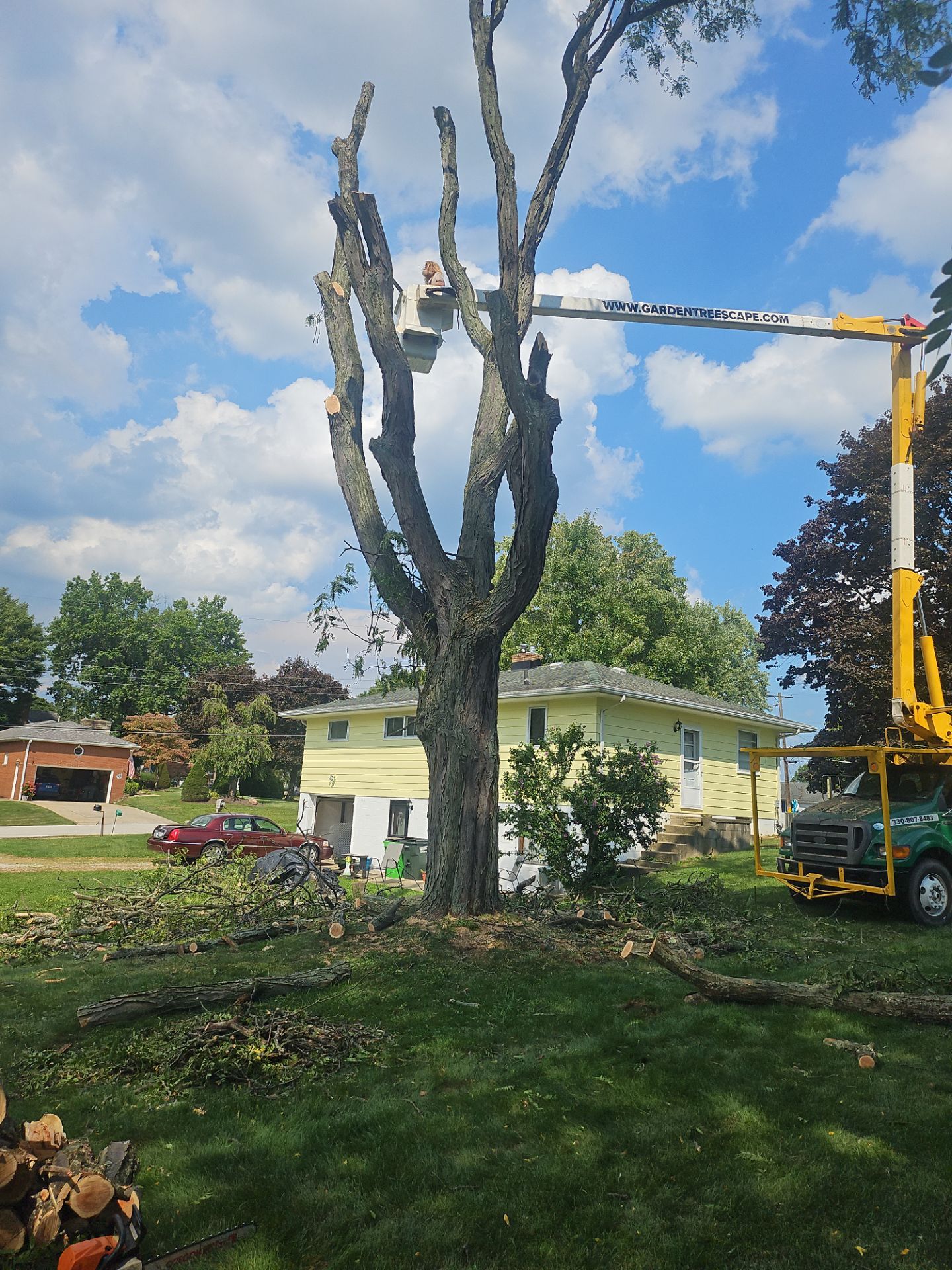 Tree Removal using Tree Removal by Mike Jones & Sons Tree Service LLC 