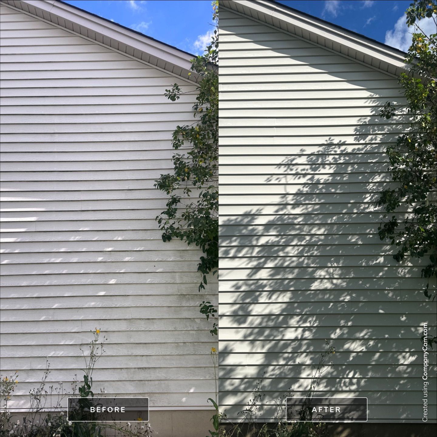 Project in Antioch by Simmons Power & Soft Washing