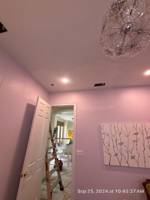 Nokomis Mold Remediation