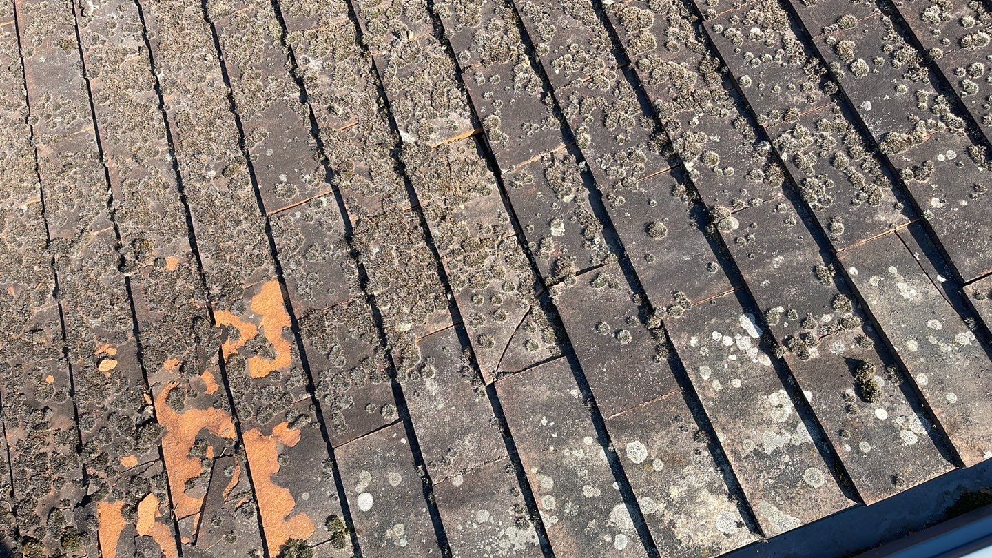 Roof Clean  - Moss Removal - Gutter Clean using Honda 15lpm Low Pressure Washing Machine by Ges Exterior Cleaning ltd