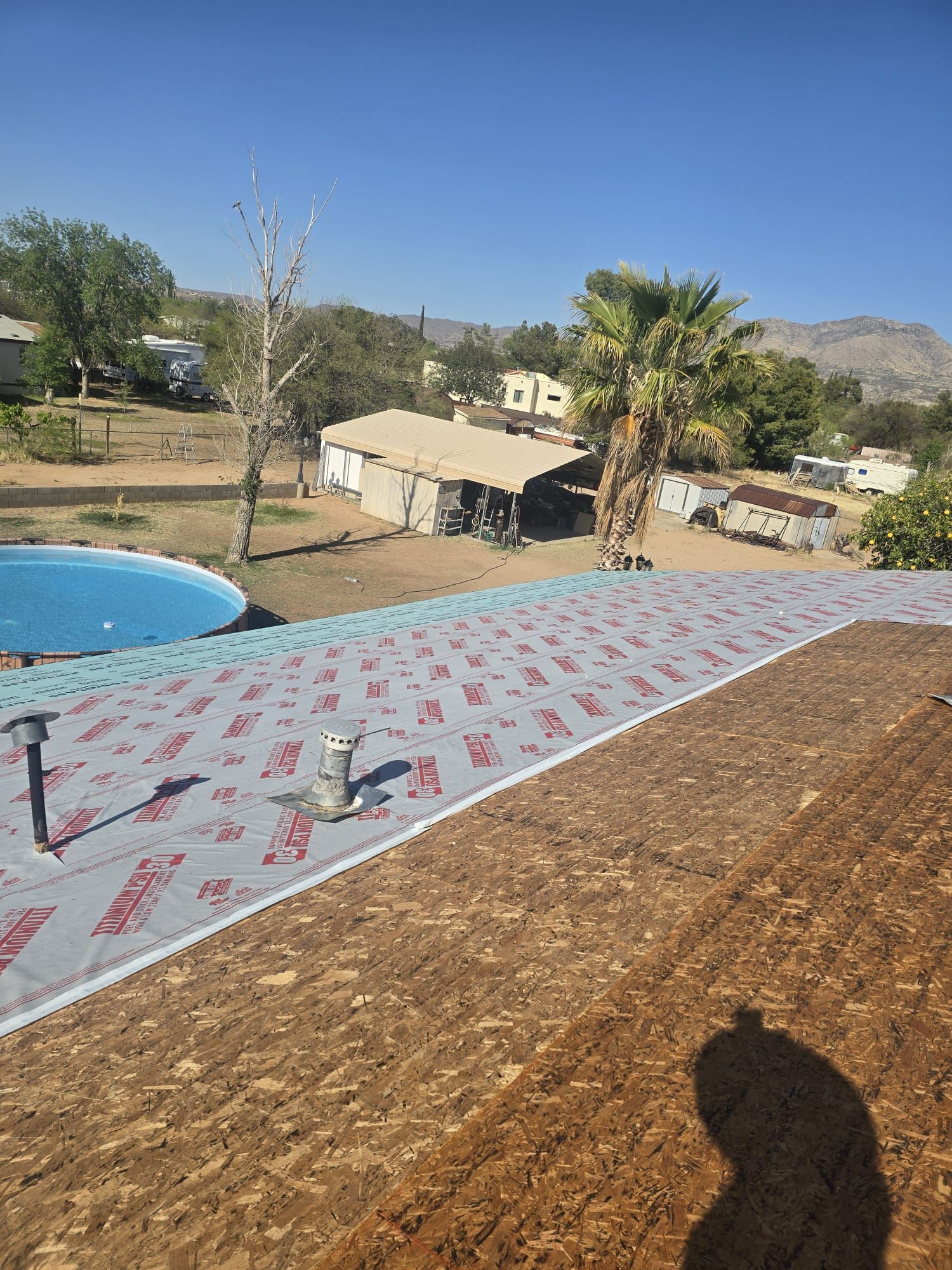 Silver Birch Shingles by Reimagine Roofing