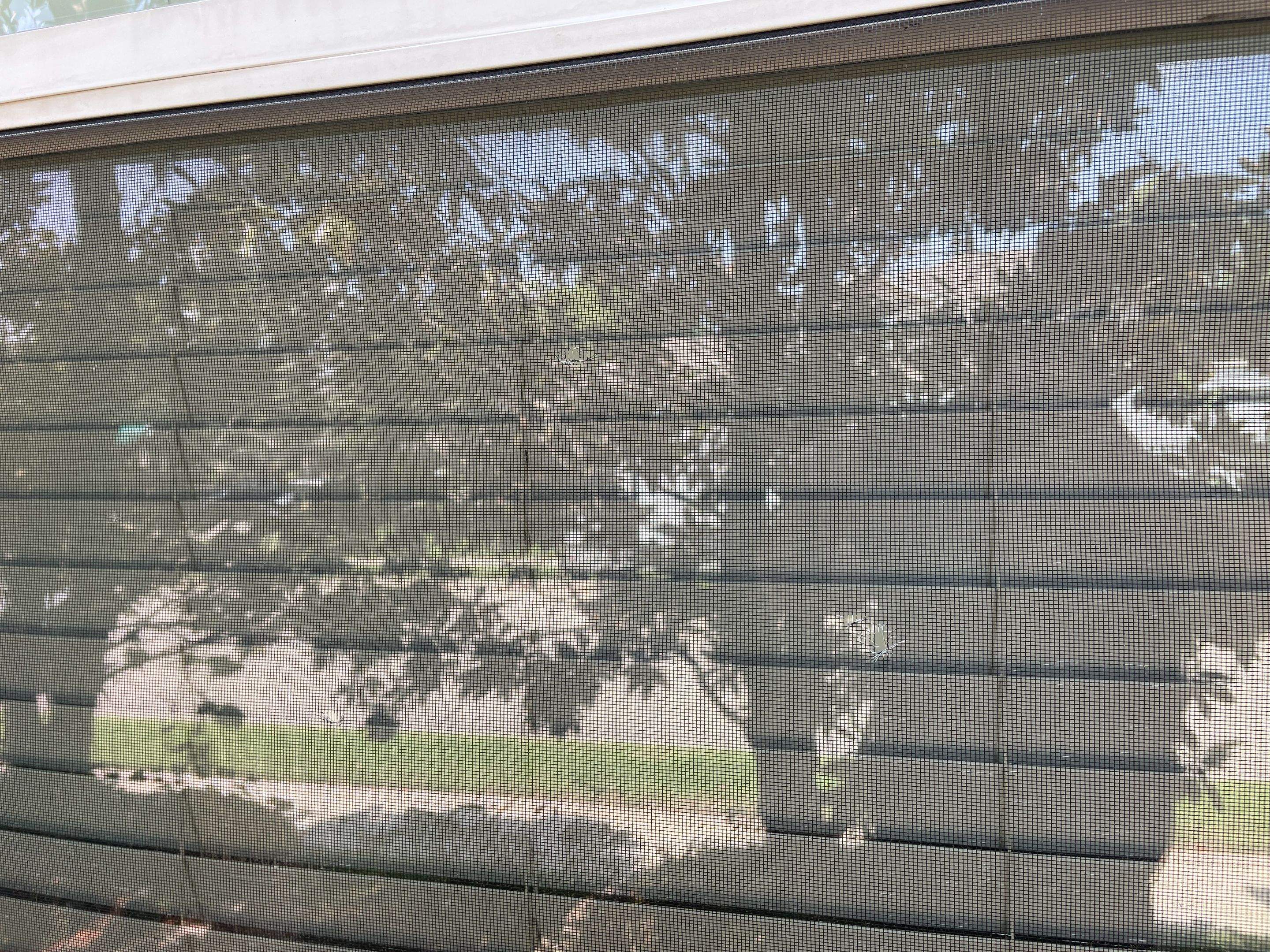 Project in Allen by Rhino Roofing and General Contracting, LLC