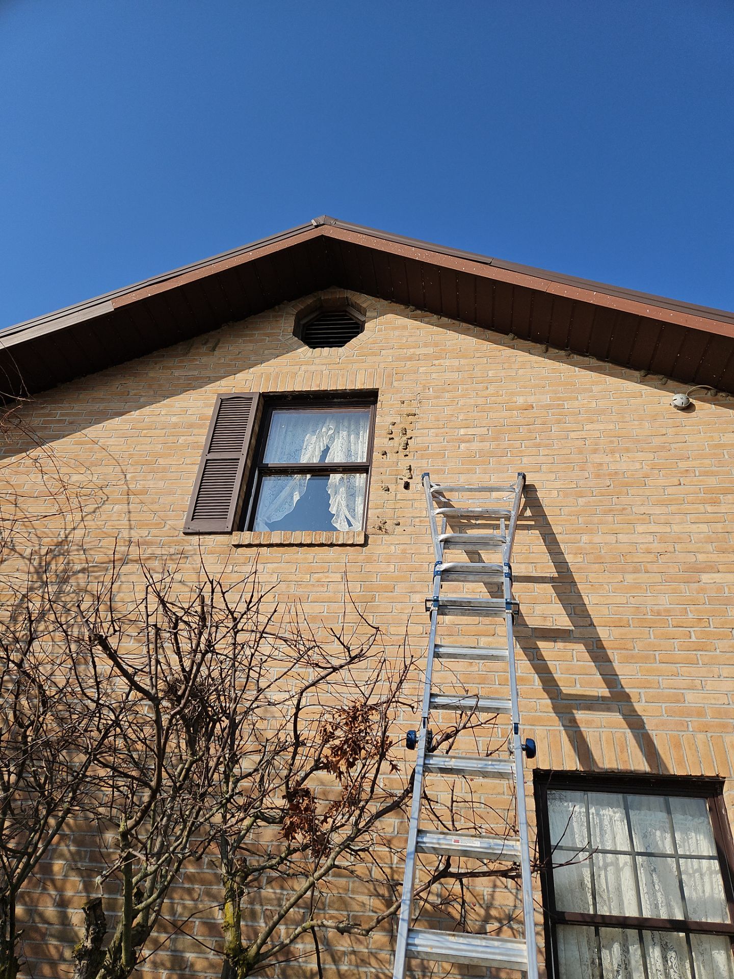 Residential Roofing Installation using Great American Shake - Mustang Brown by Nitro Roofing and Construction