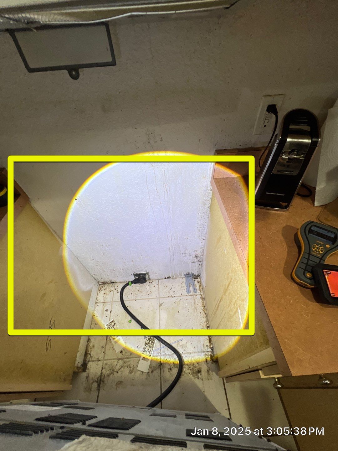Mold Removal In North Port  by Ampm Restoration Services 