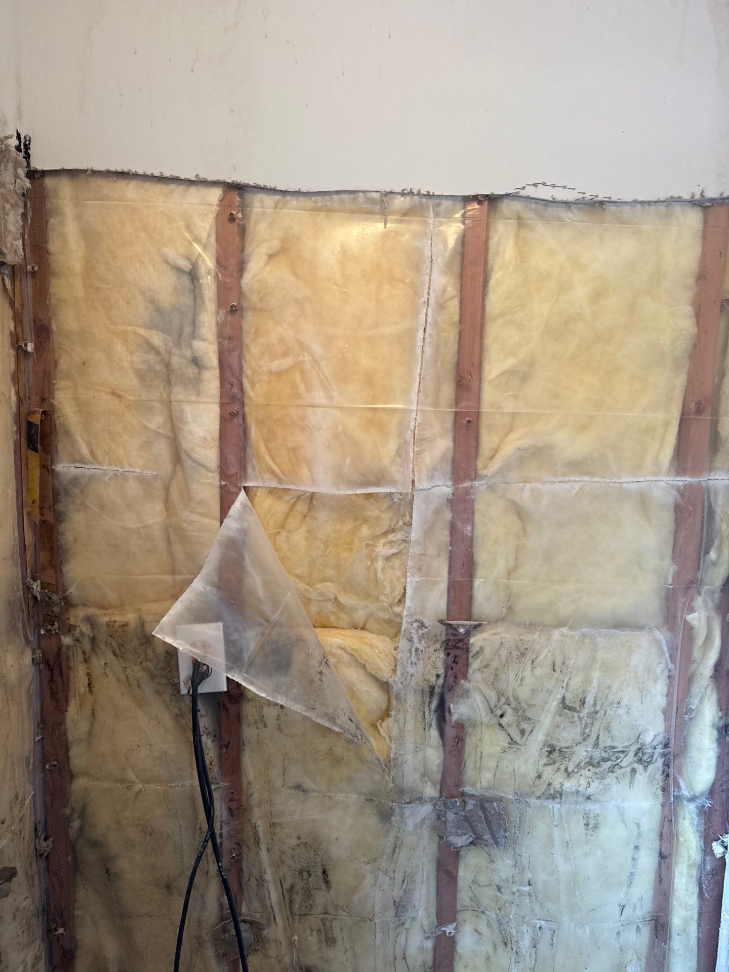 Mold Remediation and Water Damage Repair in Stonybrook, NY by Newhouse Restoration